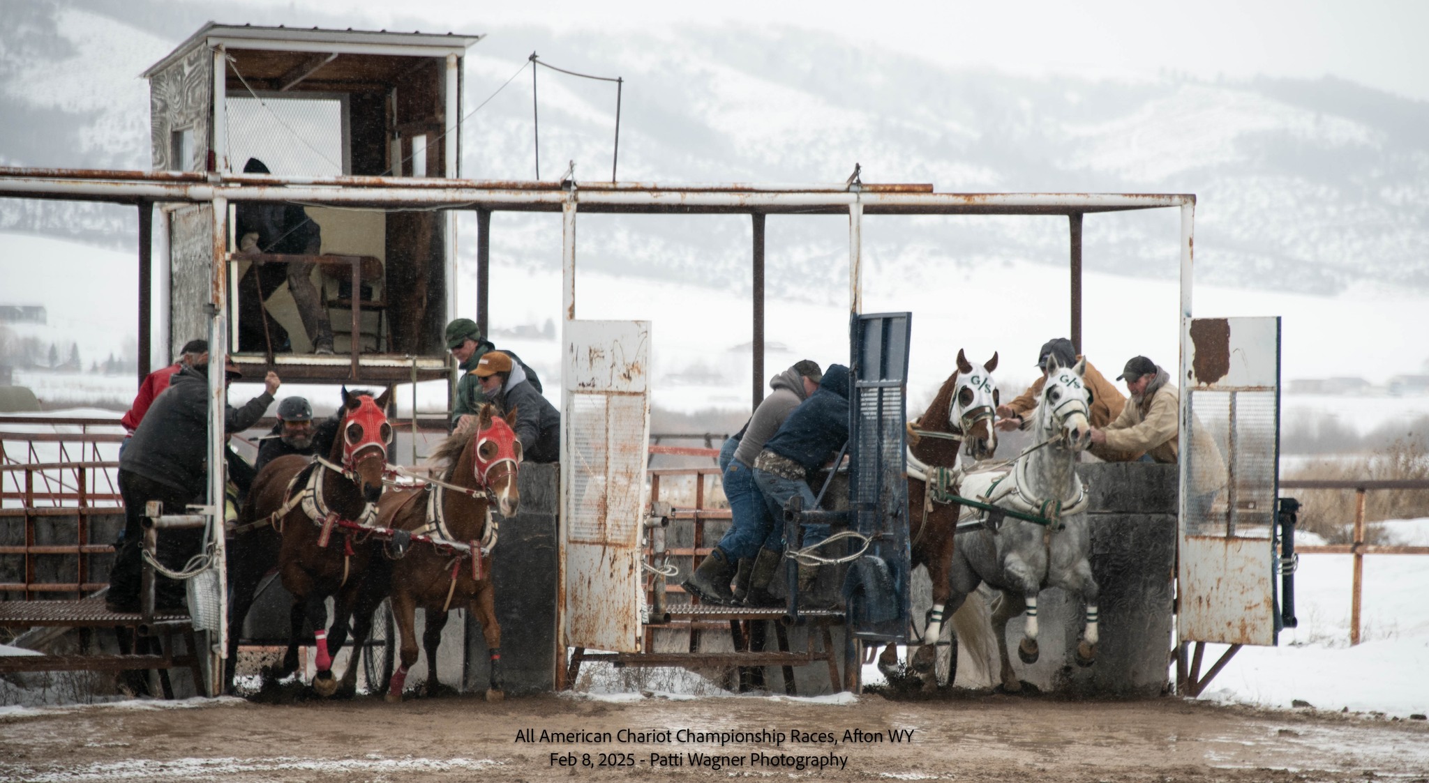 All American Cutter/Chariot Races - Afton, WY | Afton WY