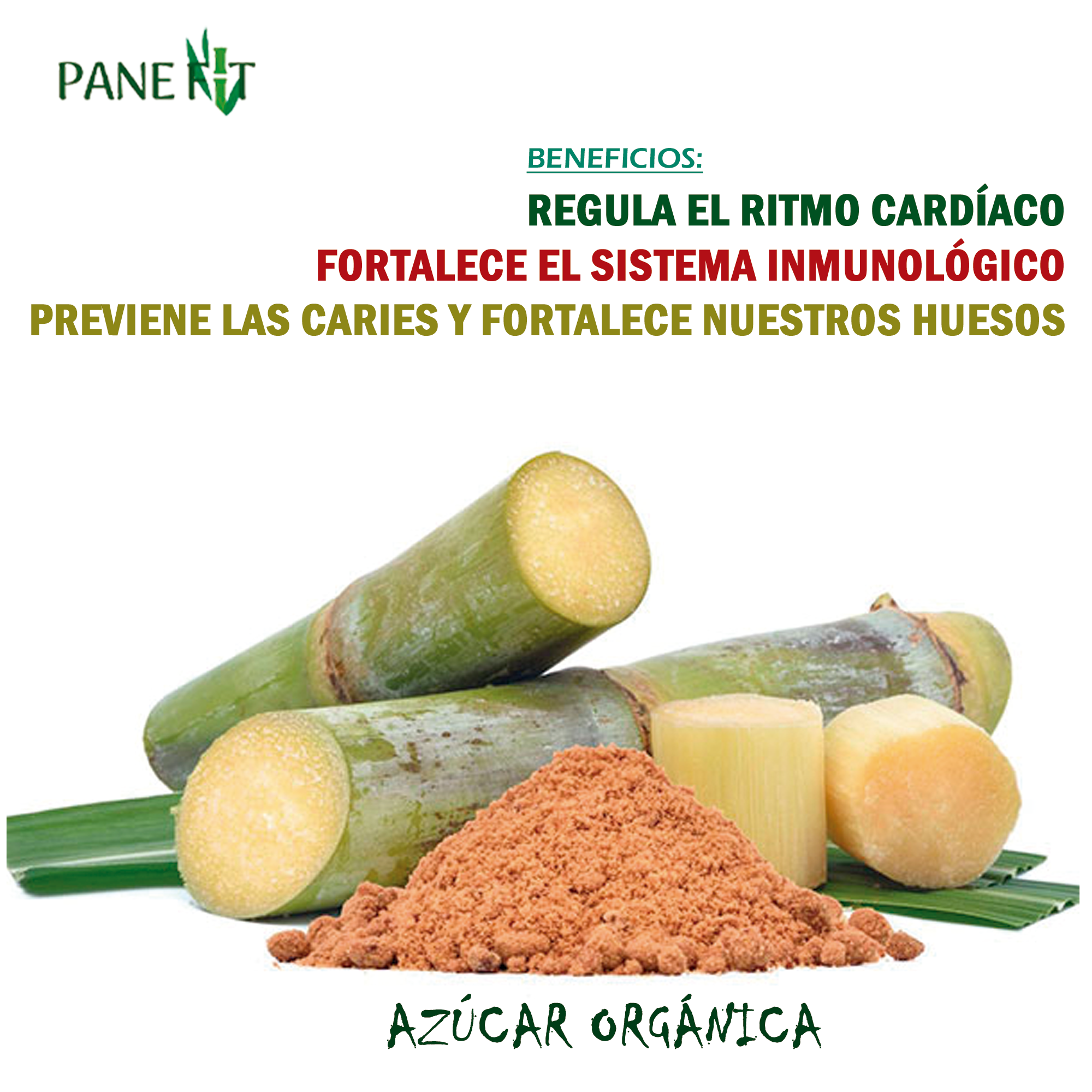 Pane Fit | Lima