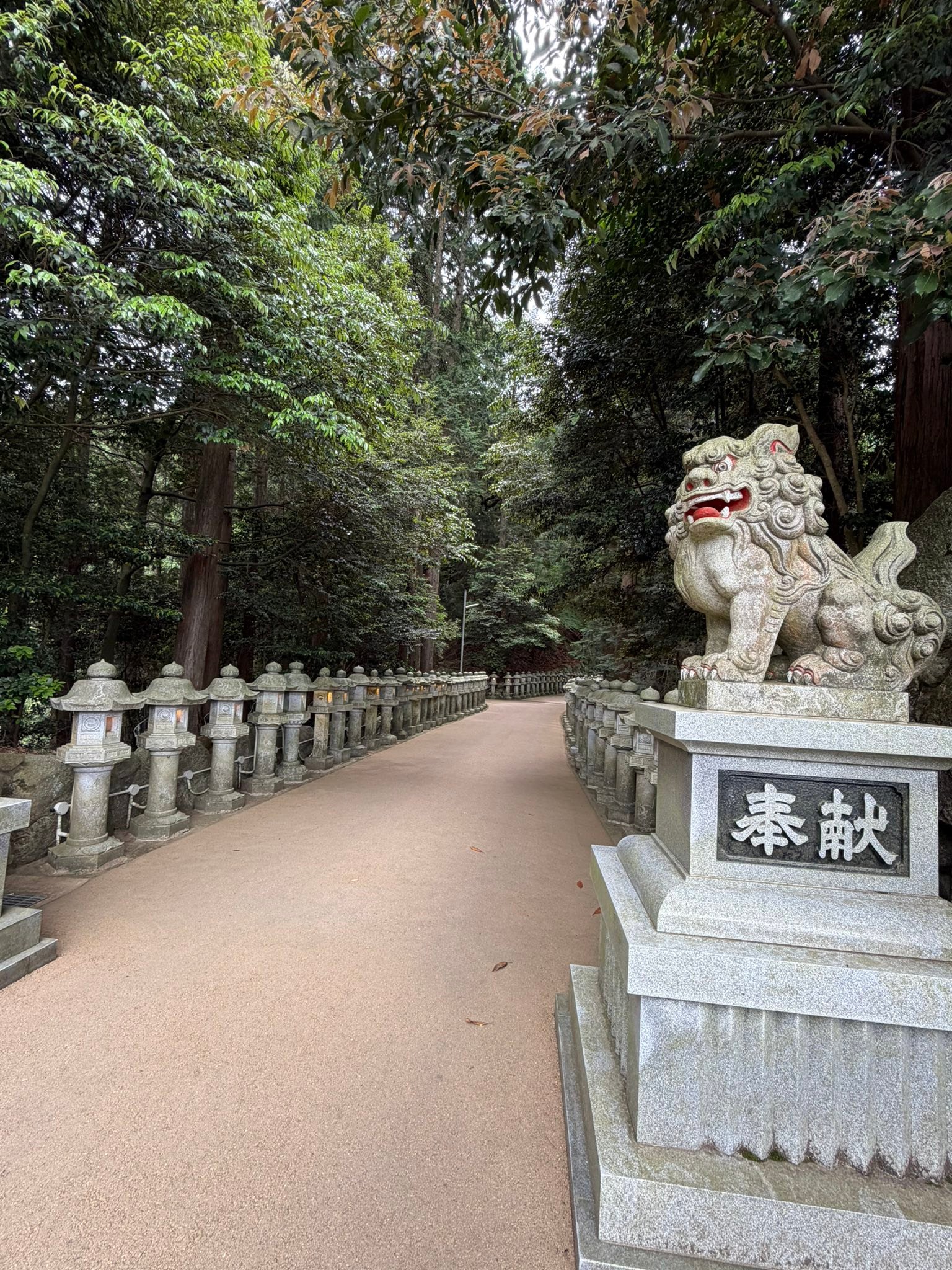 この暮れから2日まで奈良旅してました。
