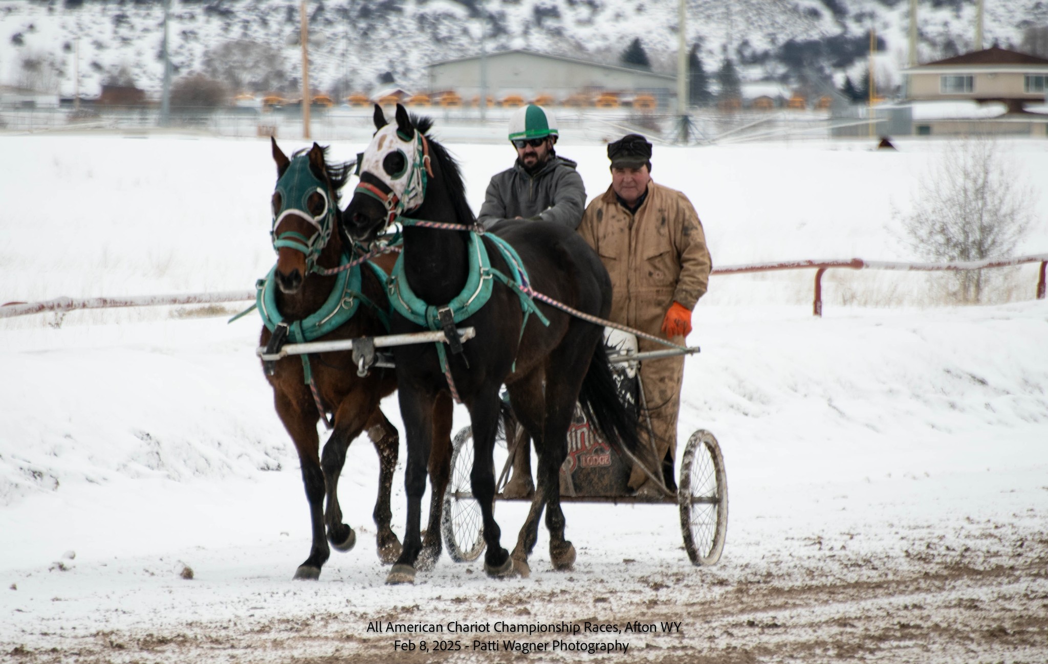 All American Cutter/Chariot Races - Afton, WY | Afton WY