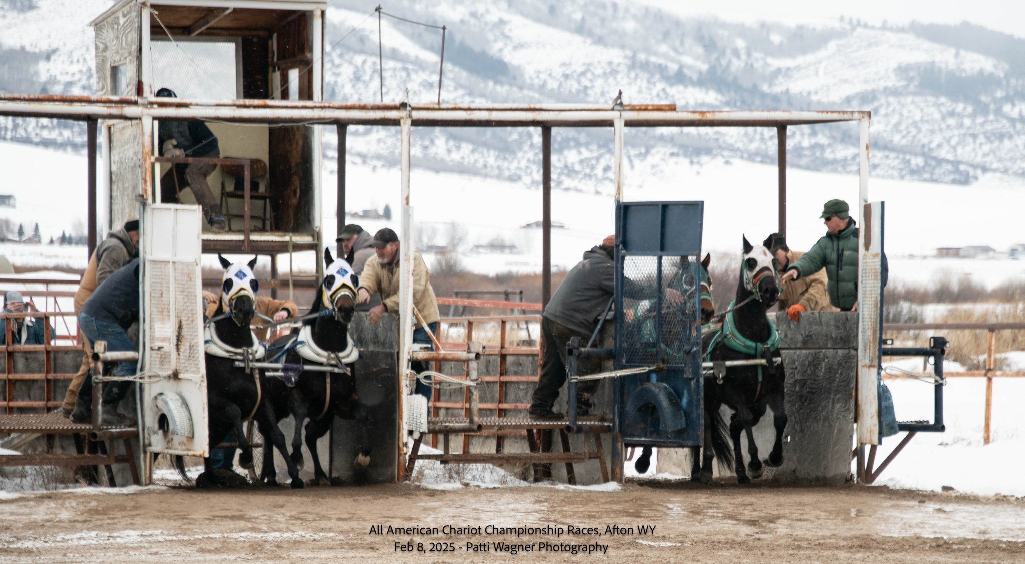 All American Cutter/Chariot Races - Afton, WY | Afton WY