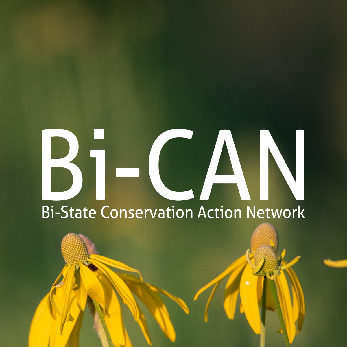 Bi-State Conservation Action Network