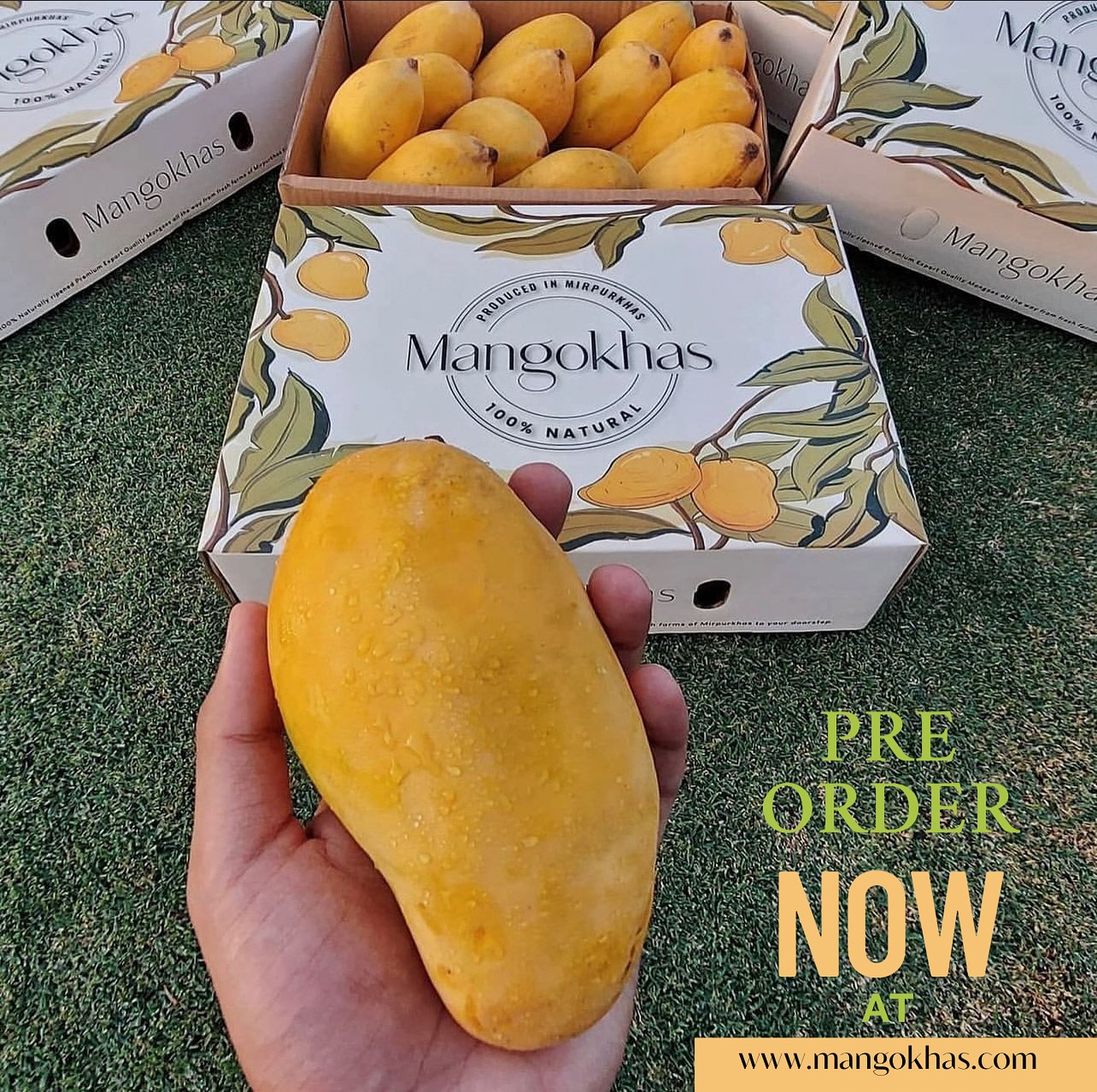 Mango Khas - Mangoes are back—bigger and juicier than... | Facebook