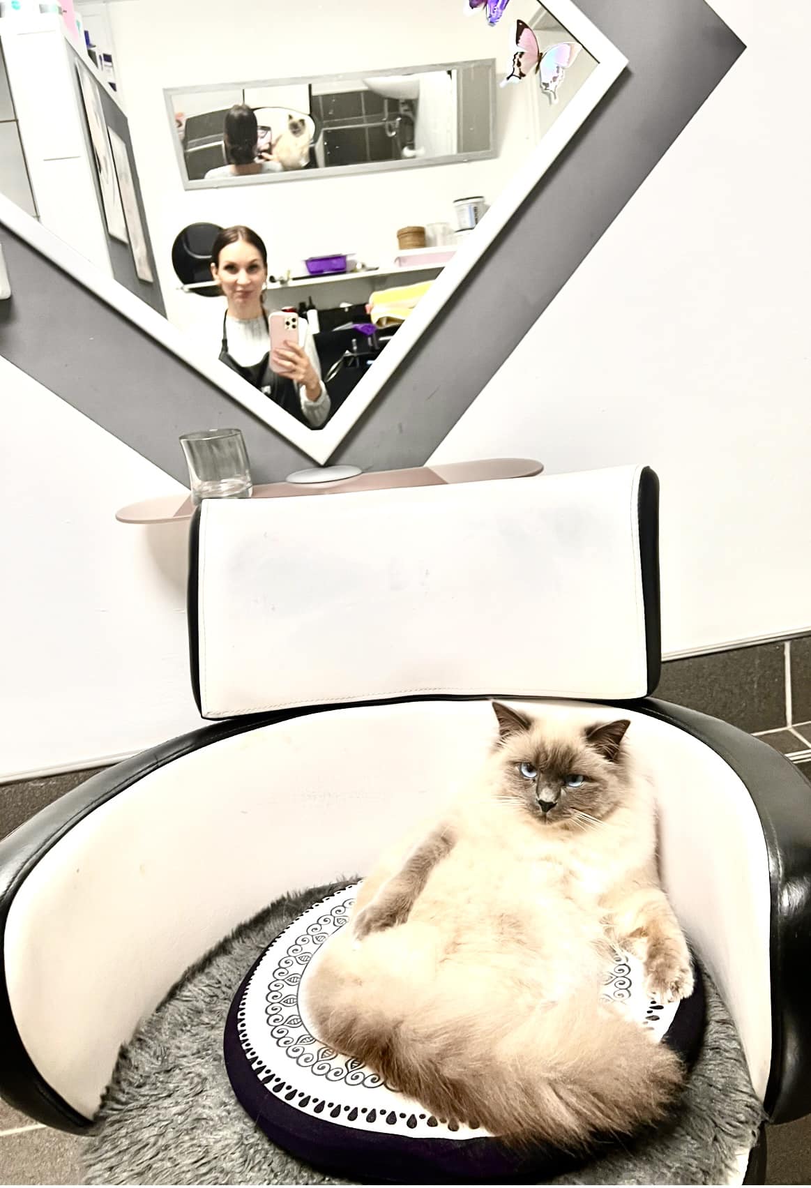 friseurmeisterin-beres-b-neutraubling