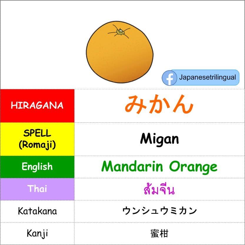 みかん #Mikan #ส้มจีน #MandarinOrange #ผลไม้และผักภาษาญี่ปุ่นภาษา