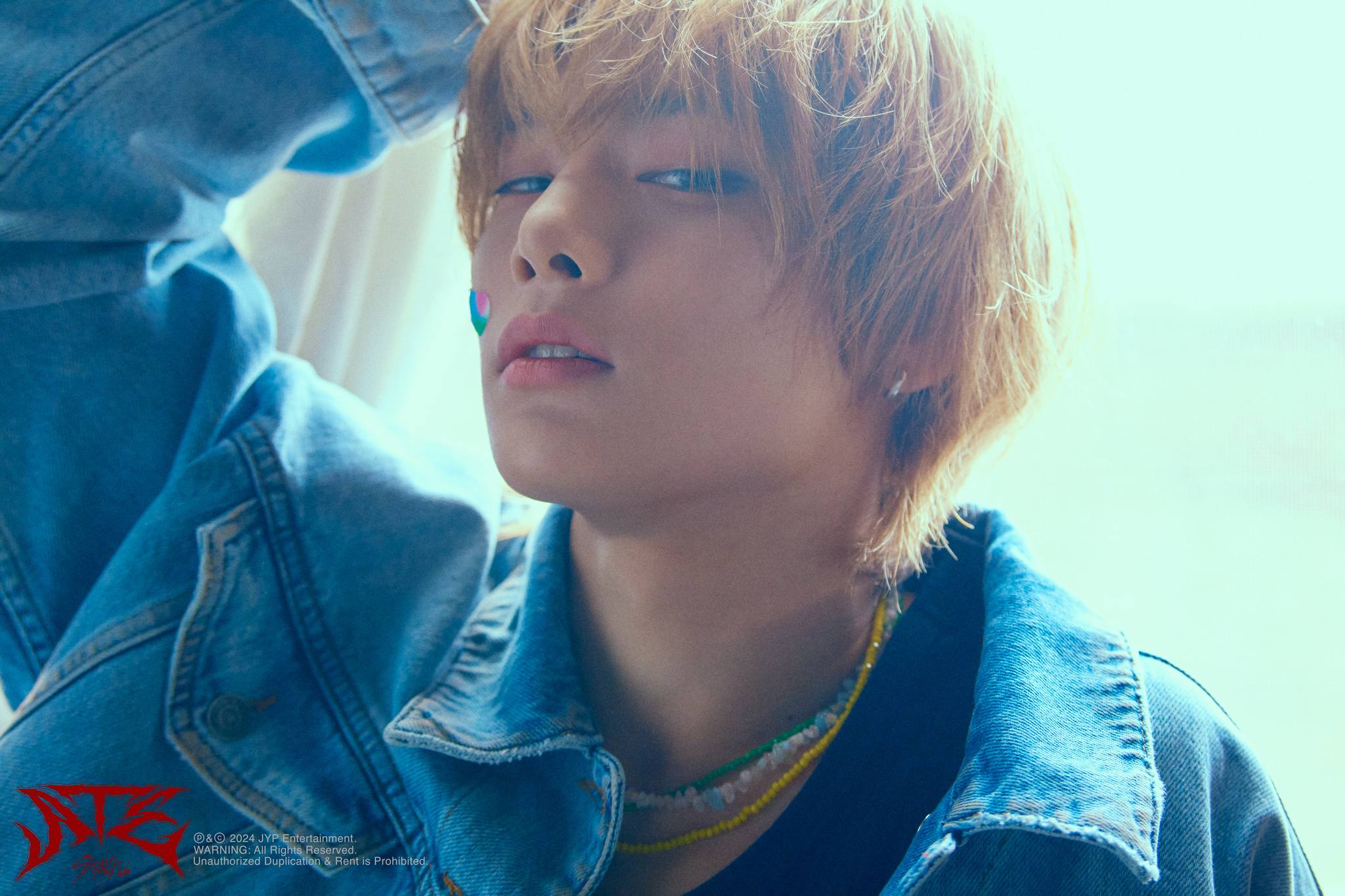Stray Kids(스트레이 키즈) 