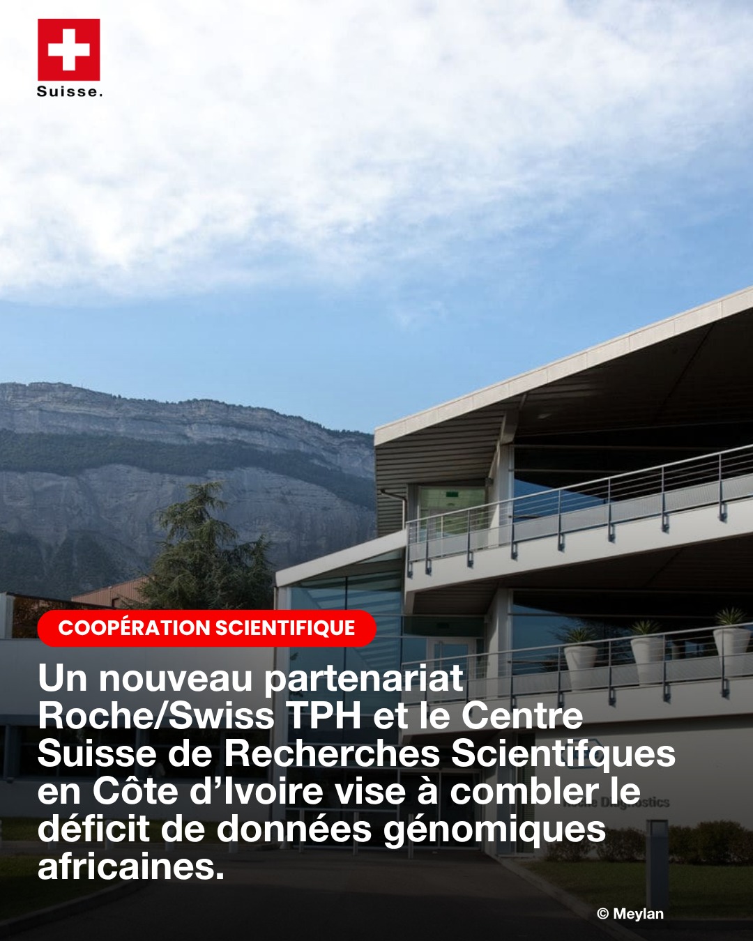 Ambassade - 👩🏾‍⚕️👨🏼‍🔬 Des chercheurs suisses et africains unissent ...