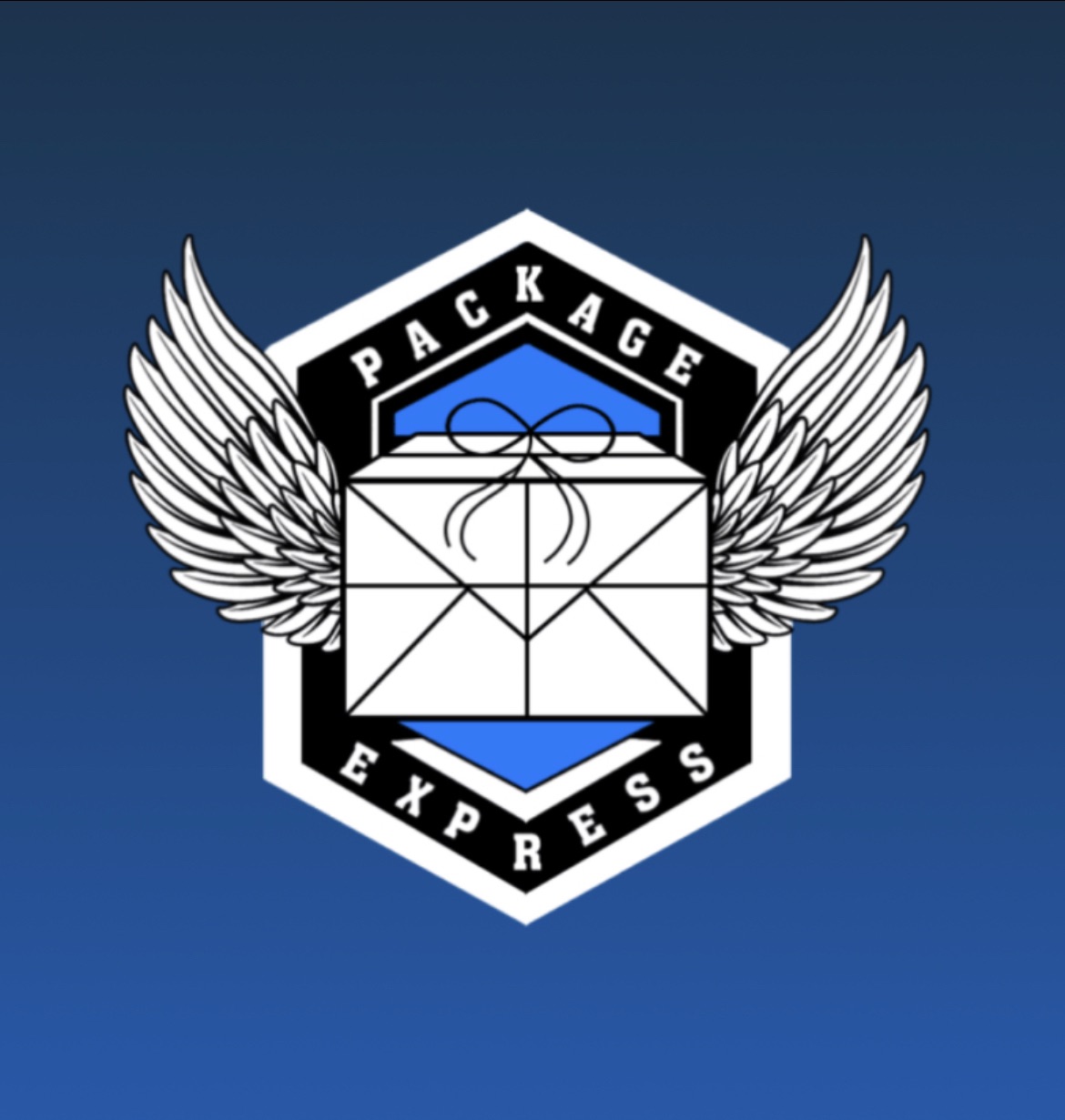 Package Express LLC | Houston TX