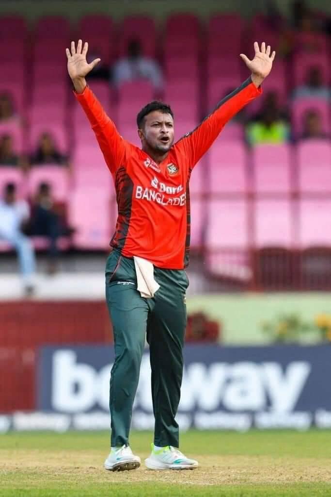 উইকেট