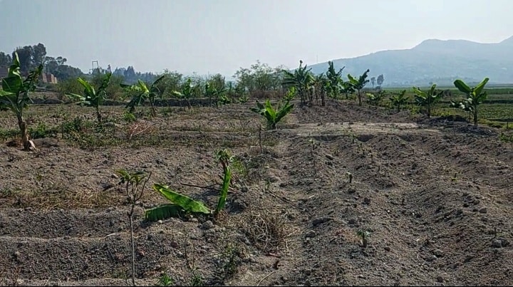 Humuni