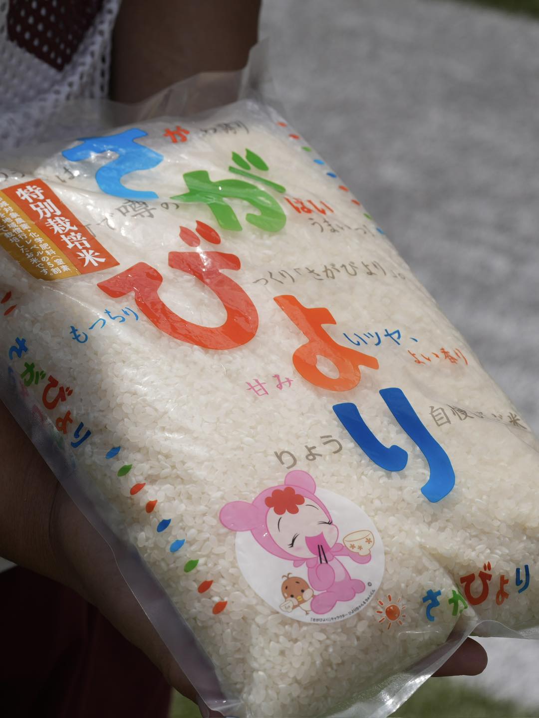 早稲田大学米式蹴球部 ビッグベアーズ added a new photo. - 早稲田