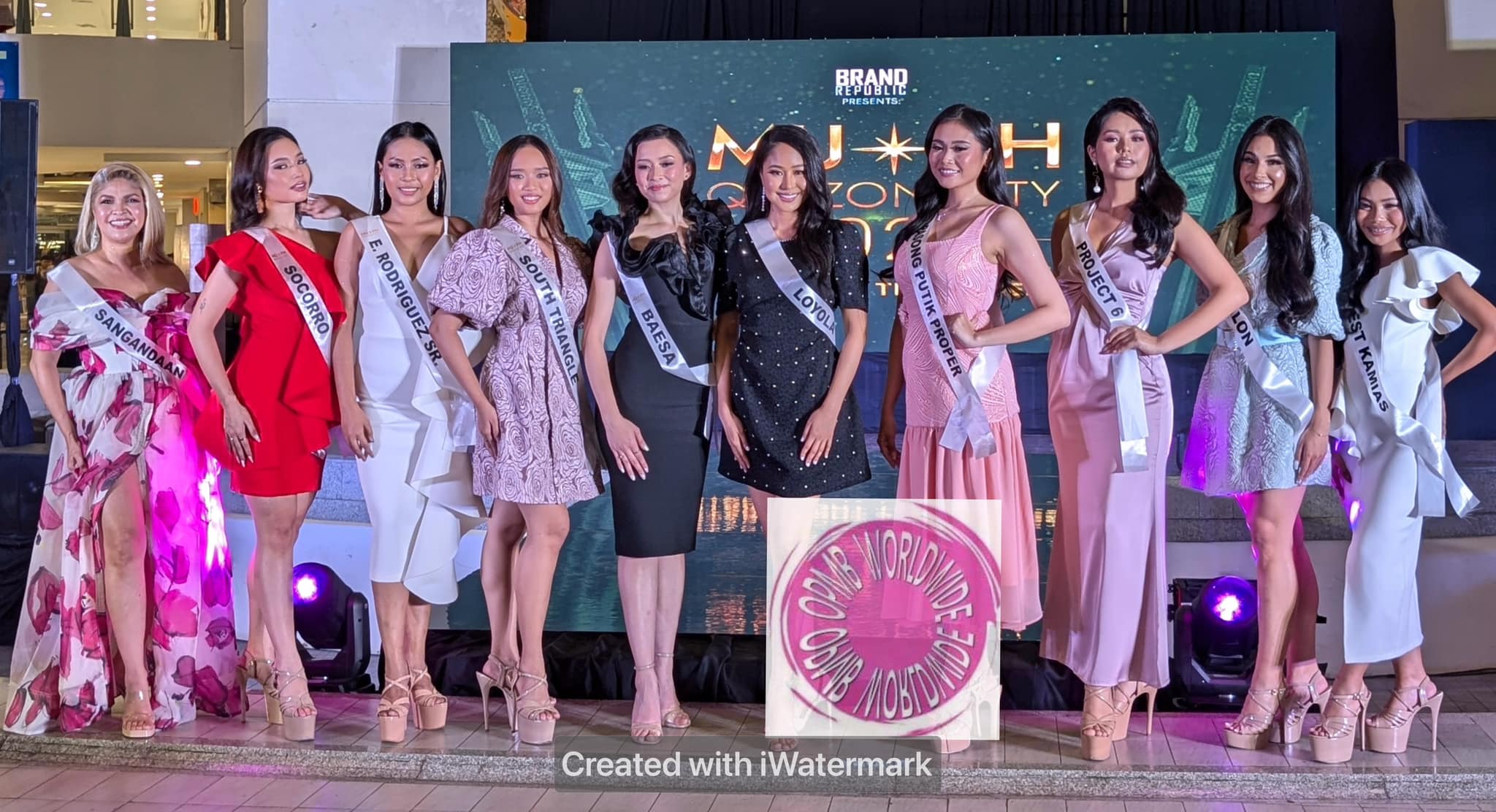 opmb worldwide - The 10 official candidates for the Miss Universe ...
