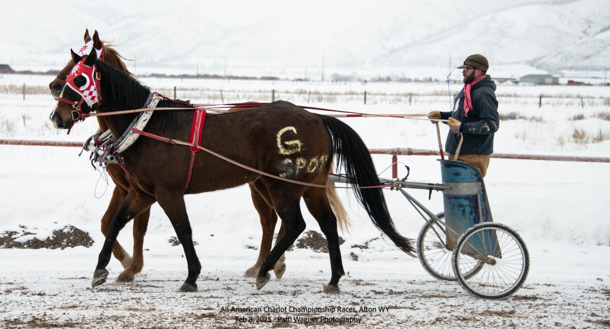 All American Cutter/Chariot Races - Afton, WY | Afton WY