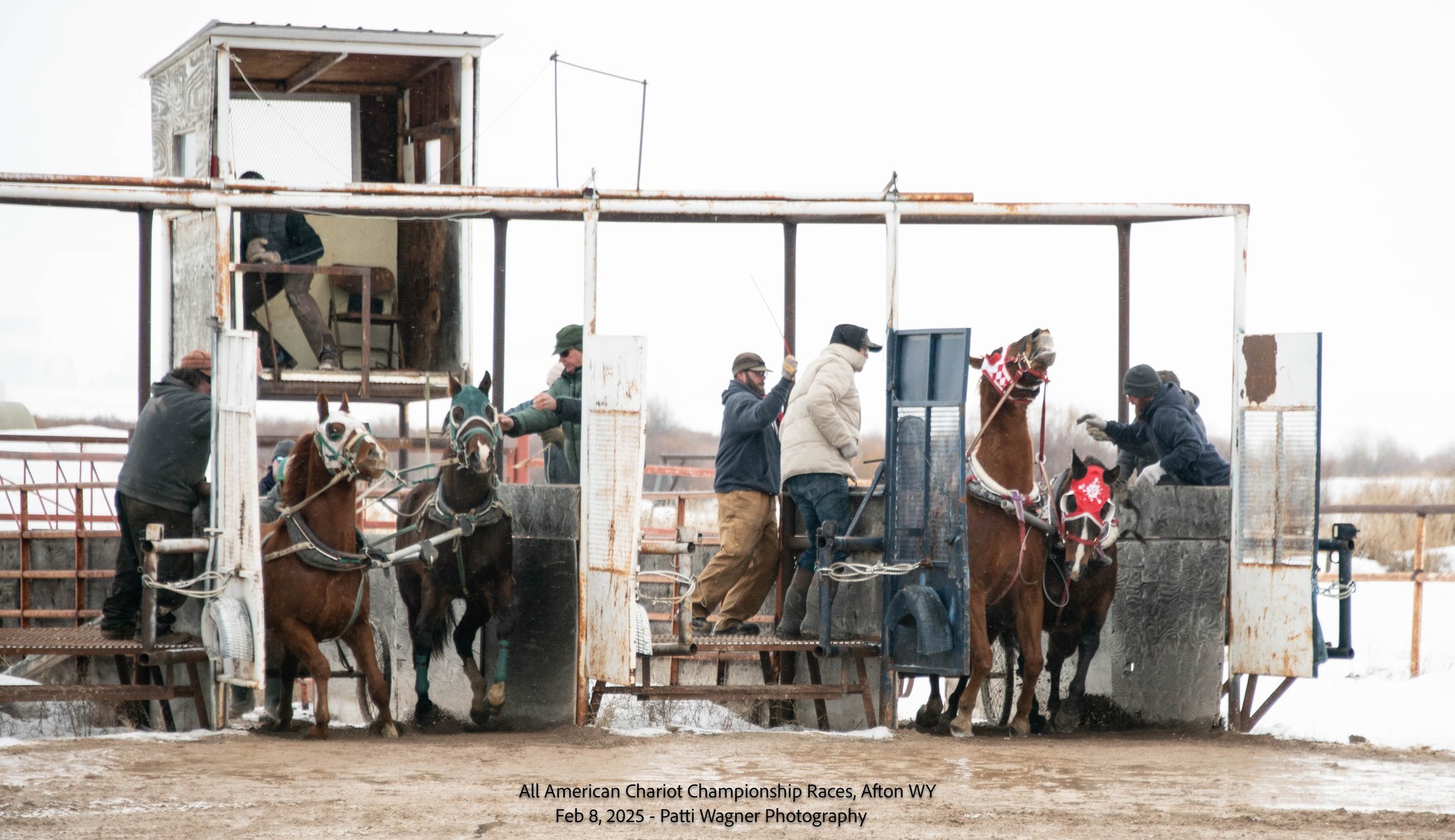 All American Cutter/Chariot Races - Afton, WY | Afton WY