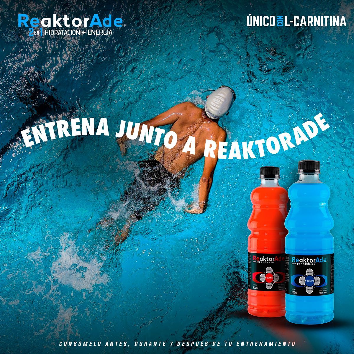 l carnitina despues de entrenar Si buscas un empuje extra en tus entrenamientos o en tu da a da, la L- es tu aliada. Este aminocido ayuda a: 1.Transportar la grasa para convertirla en energa. 2.Mejorar el Mitos vs realidades  |
