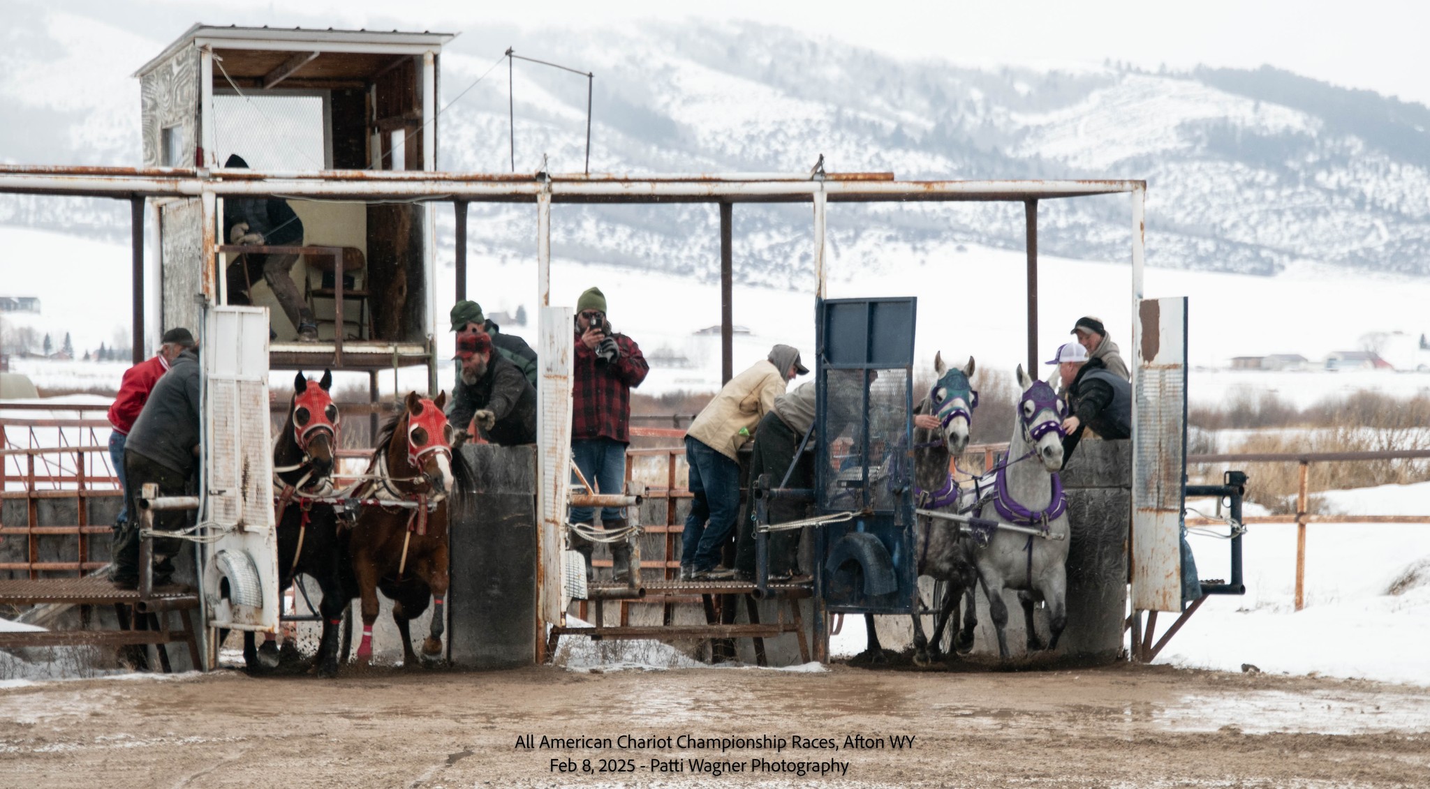 All American Cutter/Chariot Races - Afton, WY | Afton WY