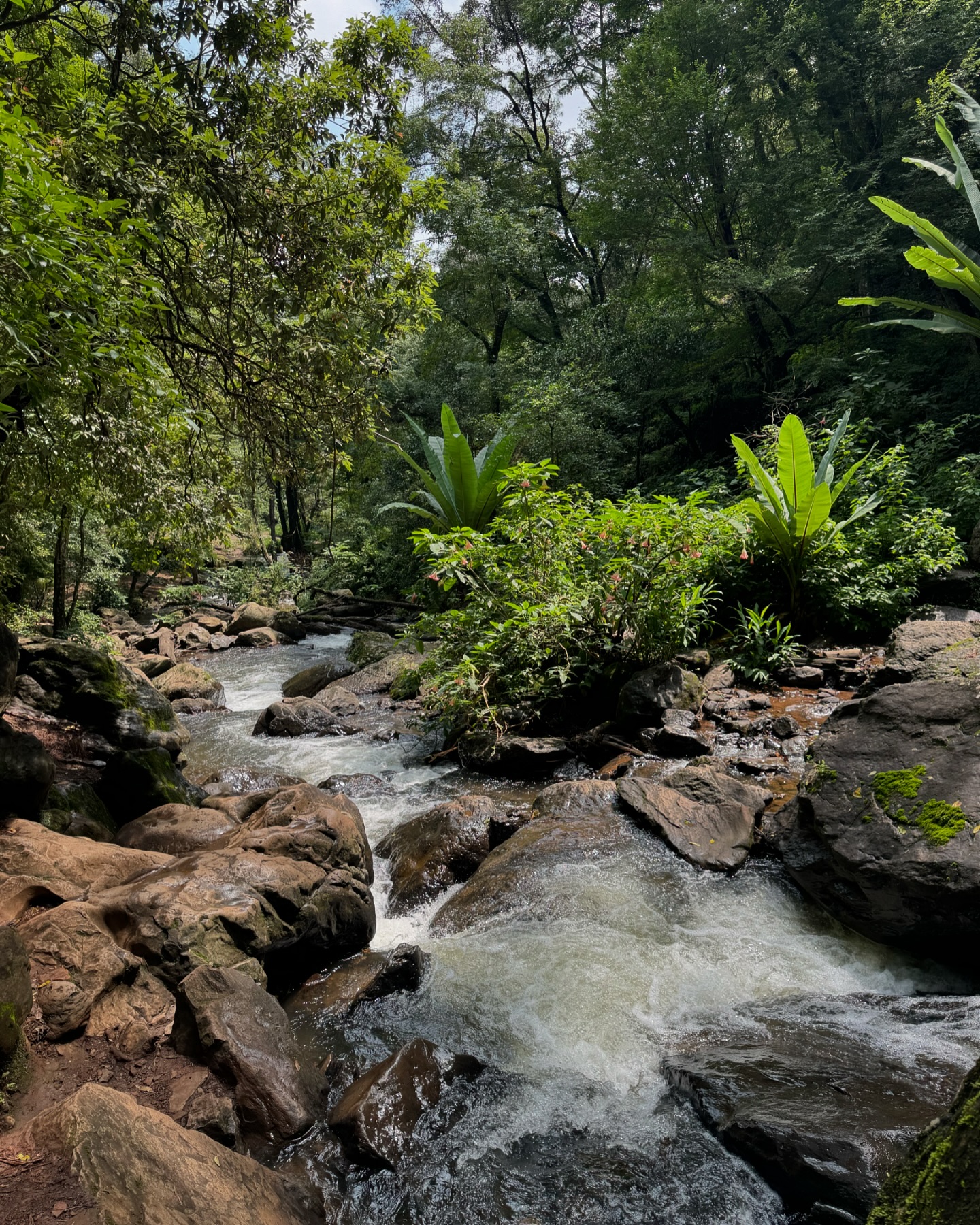 LaBlú
