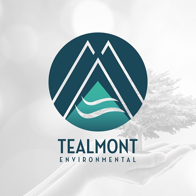 Tealmont Environmental - _ About Our Logo Our logo contains symbols ...