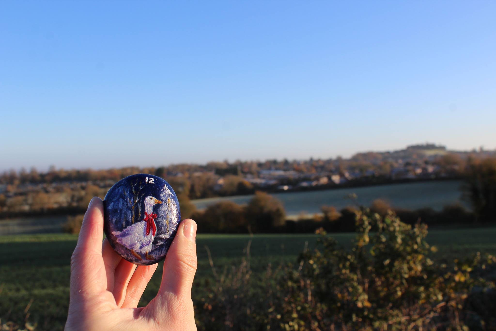 Inactive Painted Rocks of Faringdon - Please use Faringdon Rocks Group
