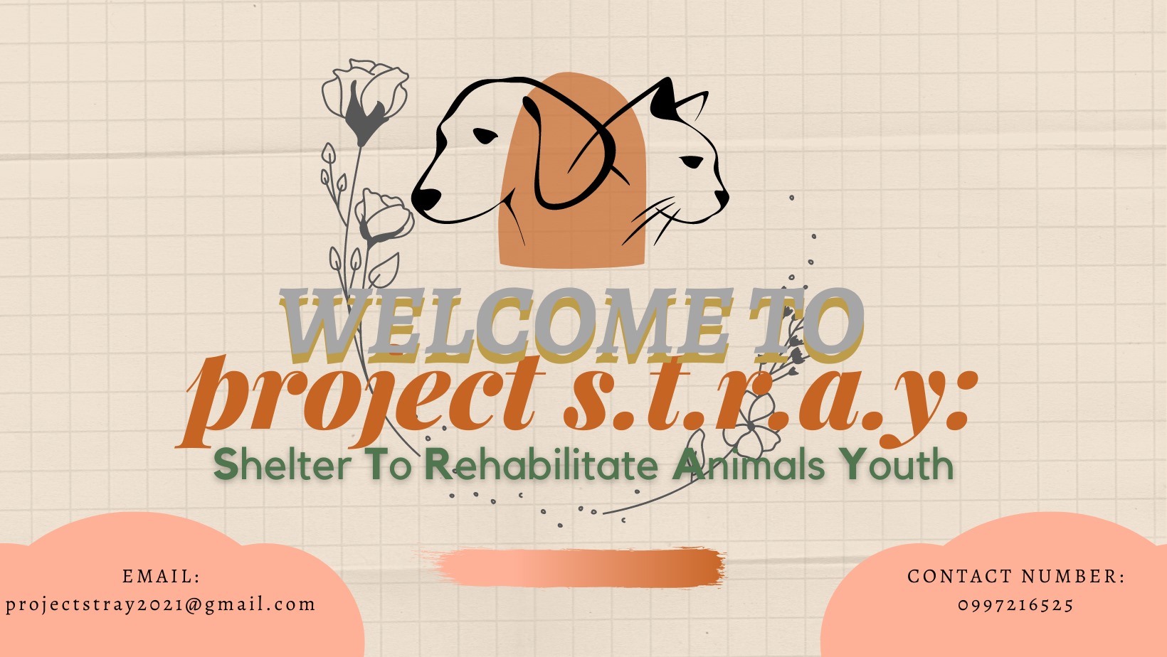 Project STRAY | Trece Martires