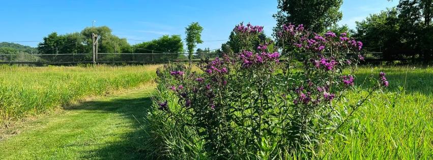 Richland Center Parks and Recreation | Richland Center WI