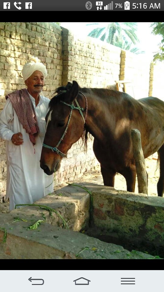 Rais Sher Muhammad Rind added a... - Rais Sher Muhammad Rind
