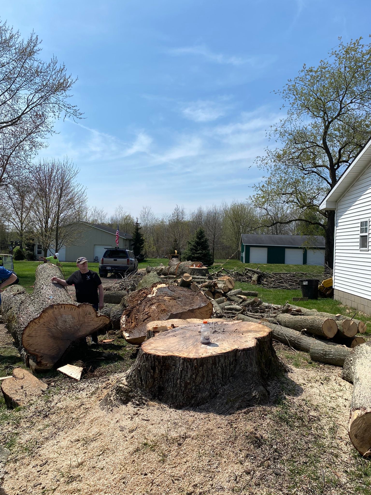 Rogue River Tree Service