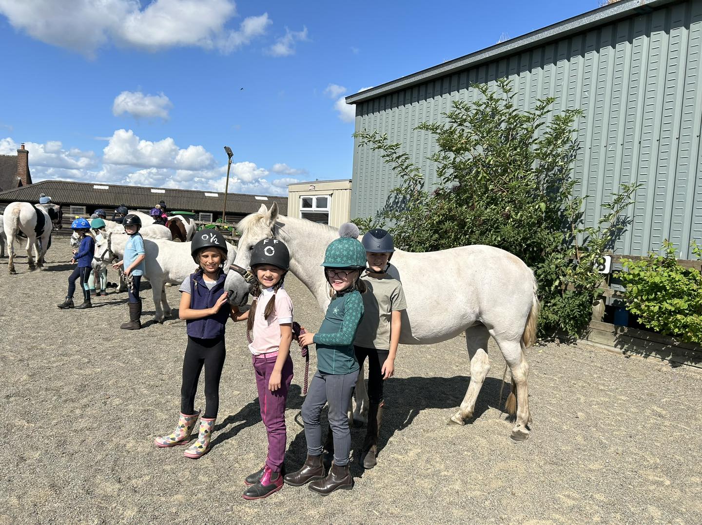 Freshfields Equestrian Centre