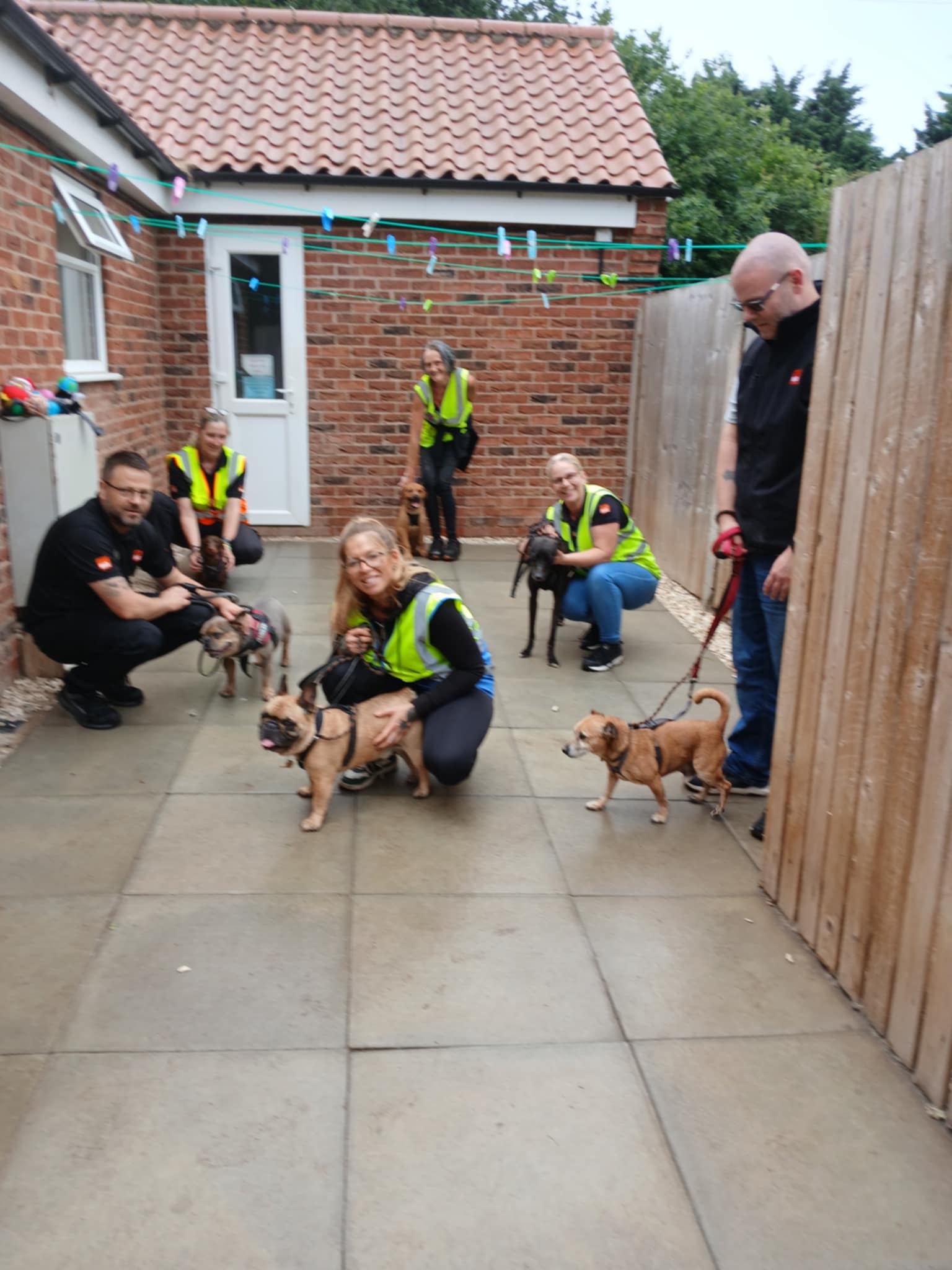 A great team from B and Q,... - Mayflower Animal Sanctuary | Facebook
