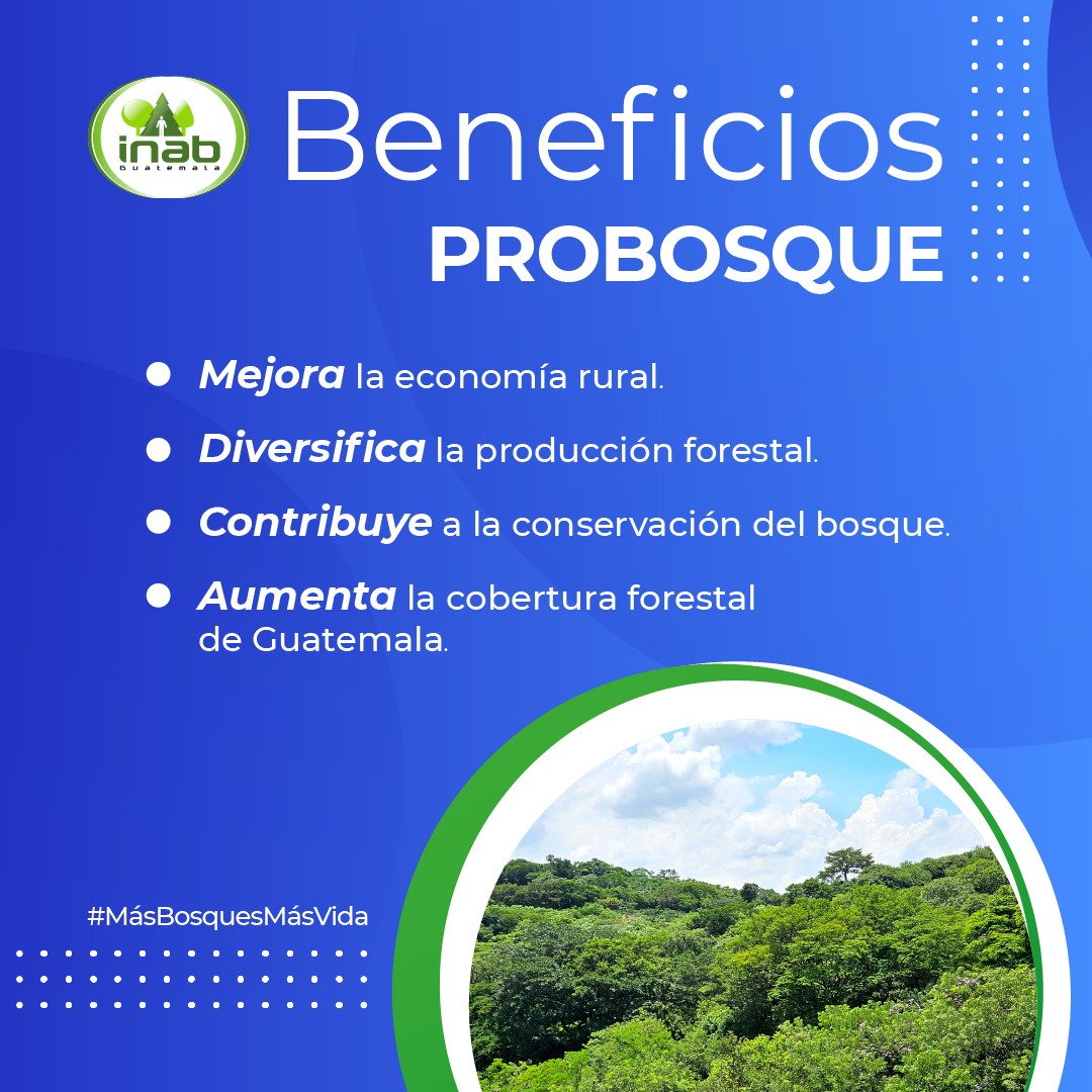 INAB Guatemala - 🌿🌎 ¡Haz crecer el futuro con PROBOSQUE!... | Facebook