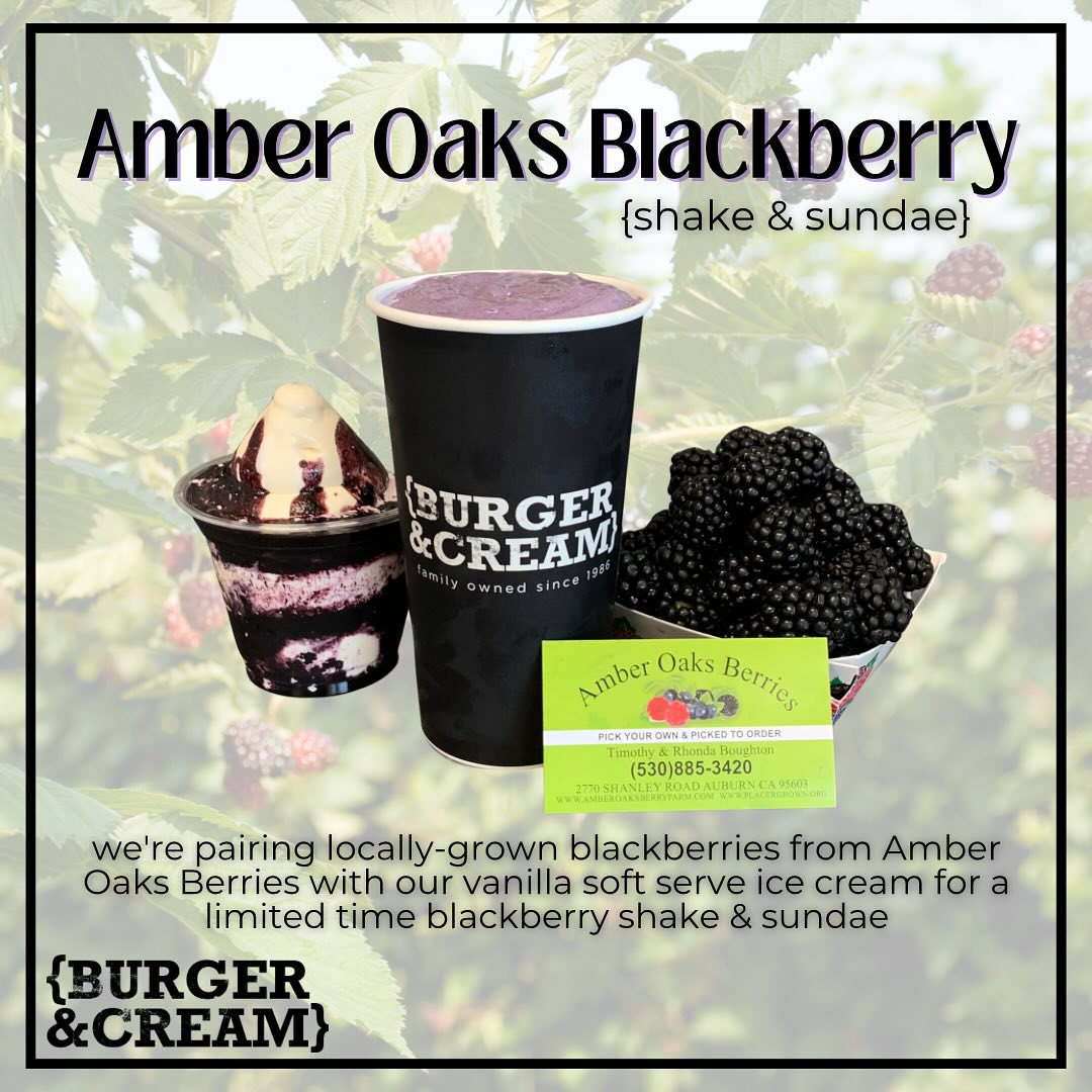 Burger & Cream - Locally grown b l a c k b e r r y is...
