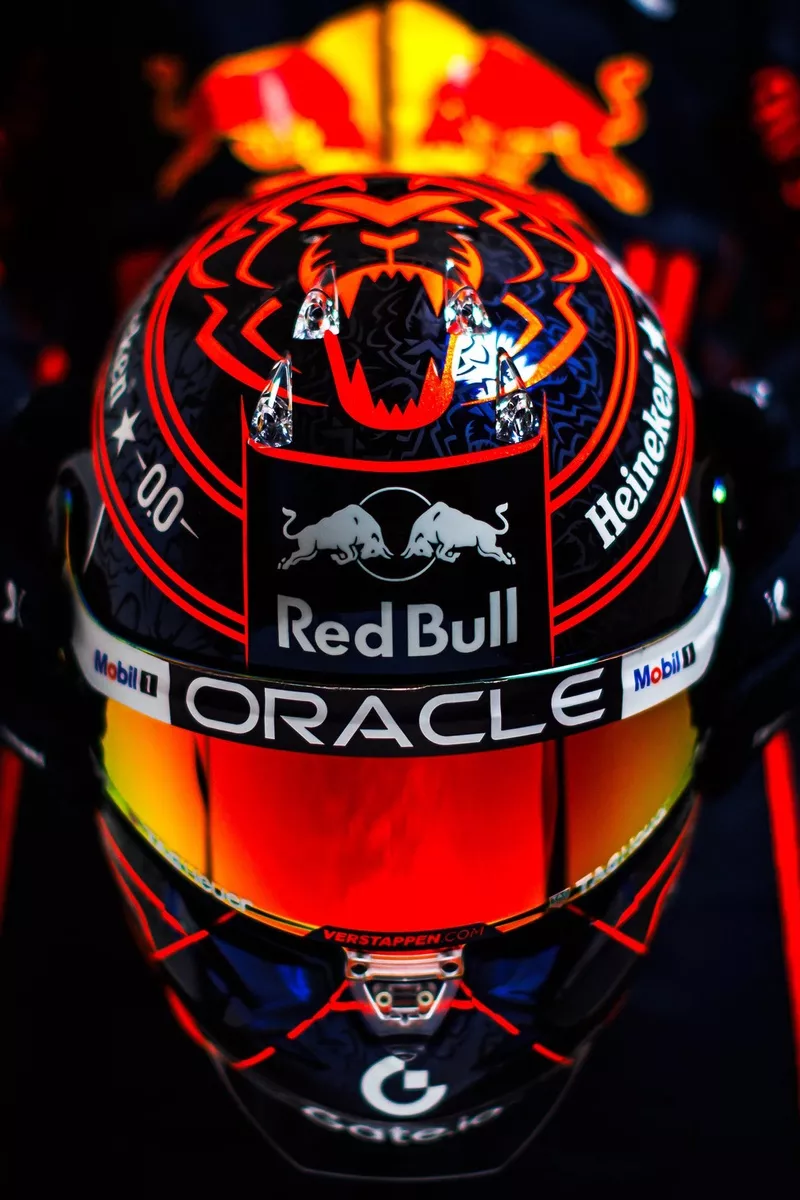 Helmets Helmet マックスフェルスタッペン ライオン マックス