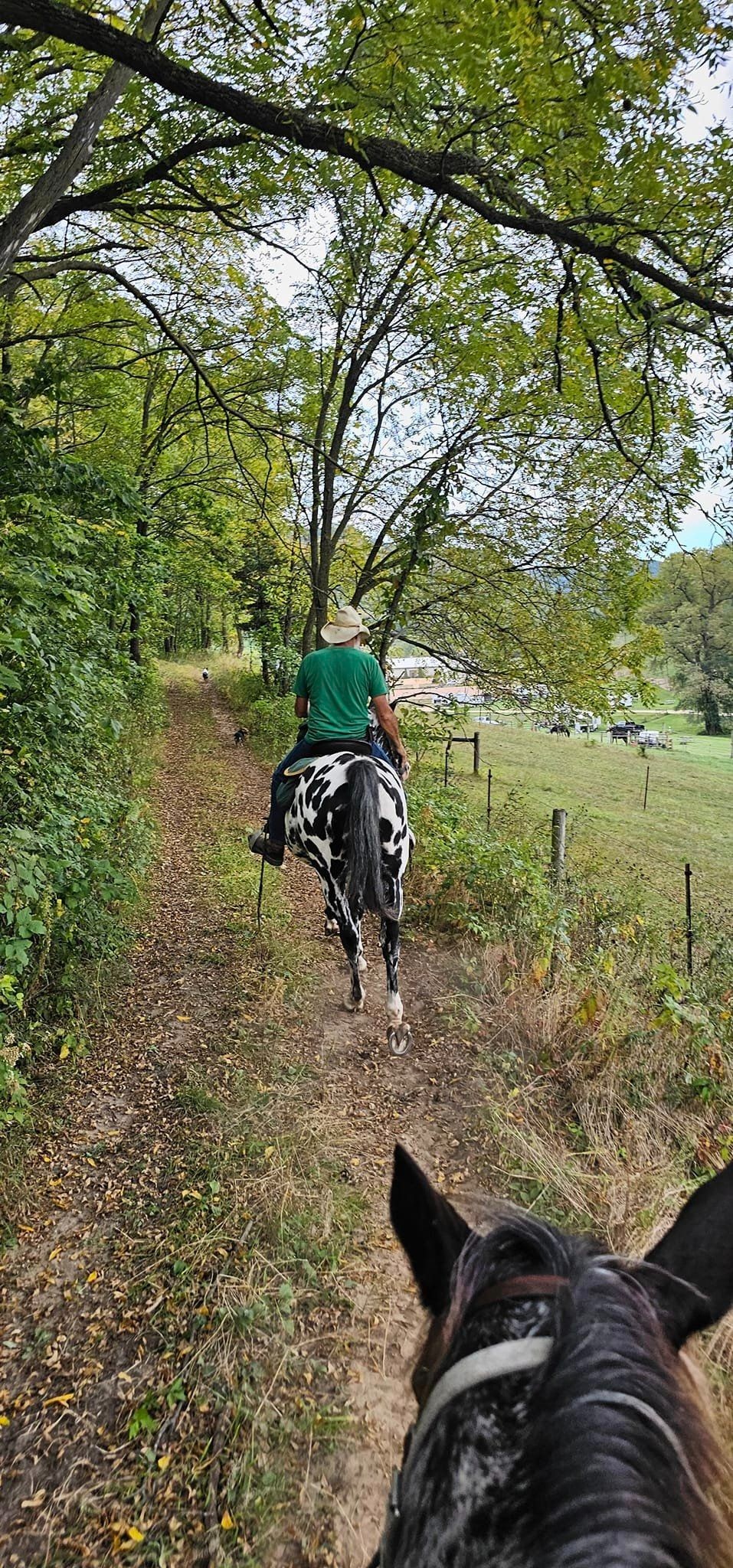 Outback - Cheers to adventure at Outback Ranch Inc.! Our camping for ...