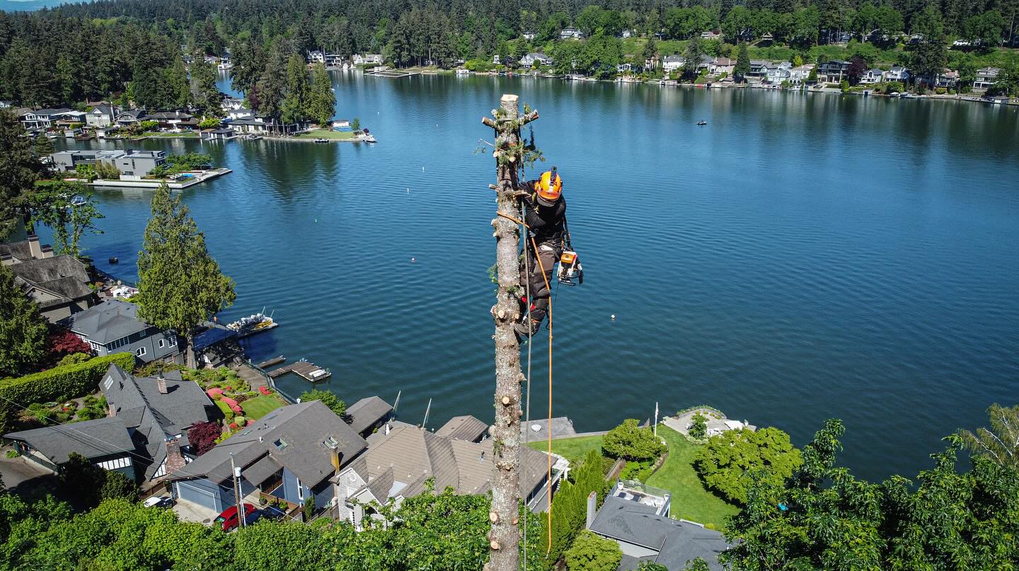 Quality Performance Tree Service,LLC | Tulatin OR