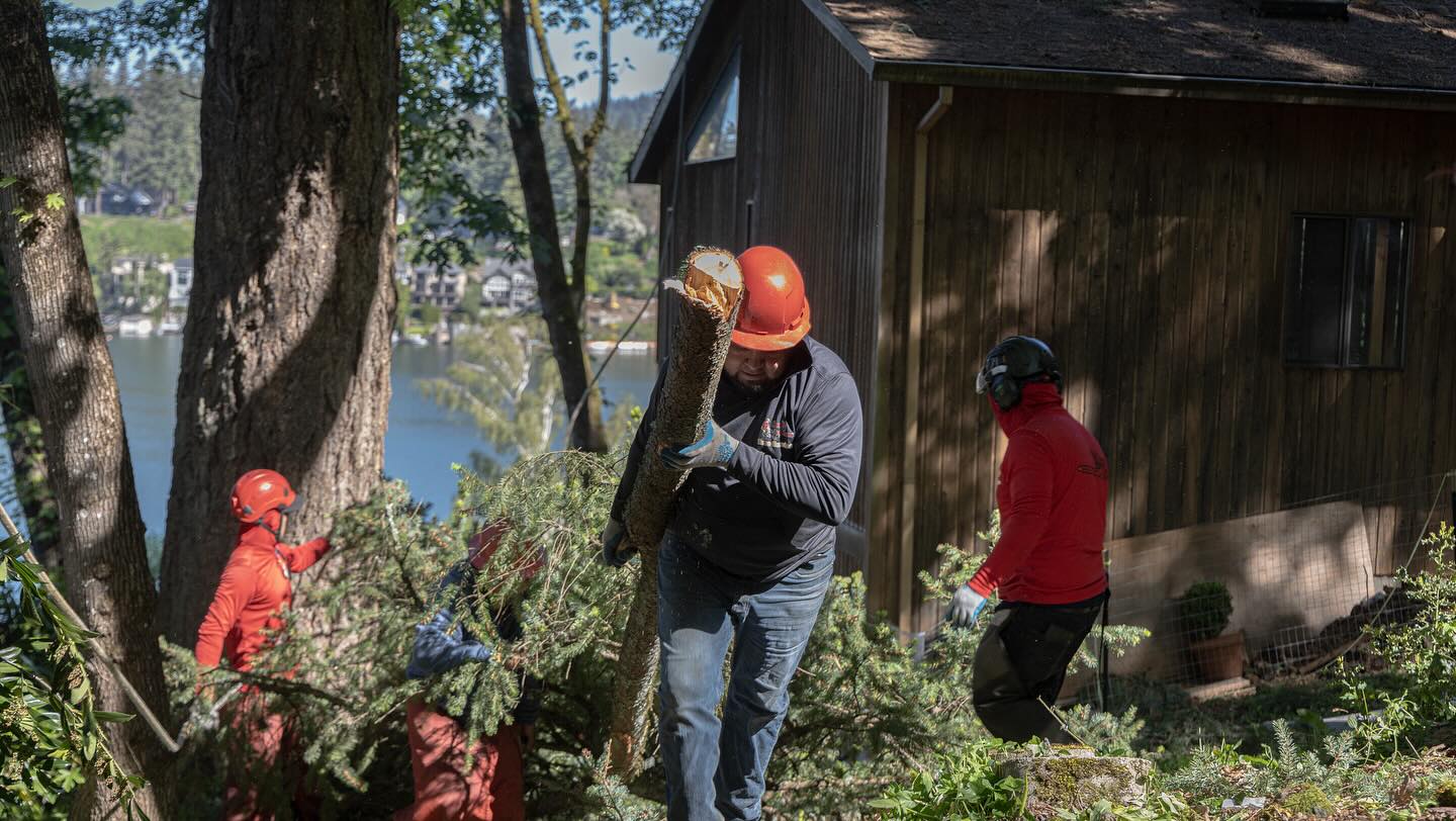 Quality Performance Tree Service,LLC | Tulatin OR