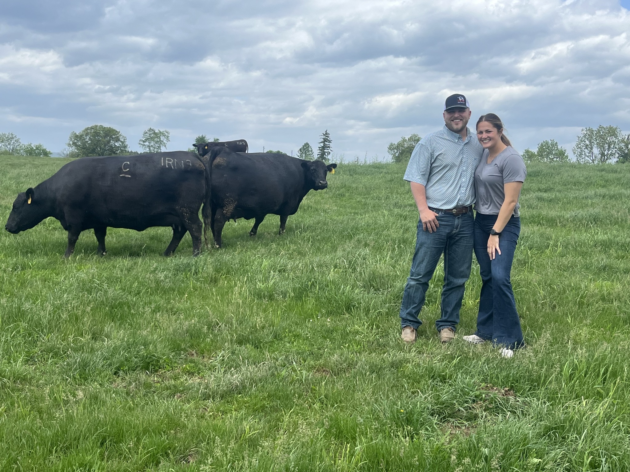 Clark Farms Angus - FOR SALE: Proven calving ease 3 year old Bull sired ...