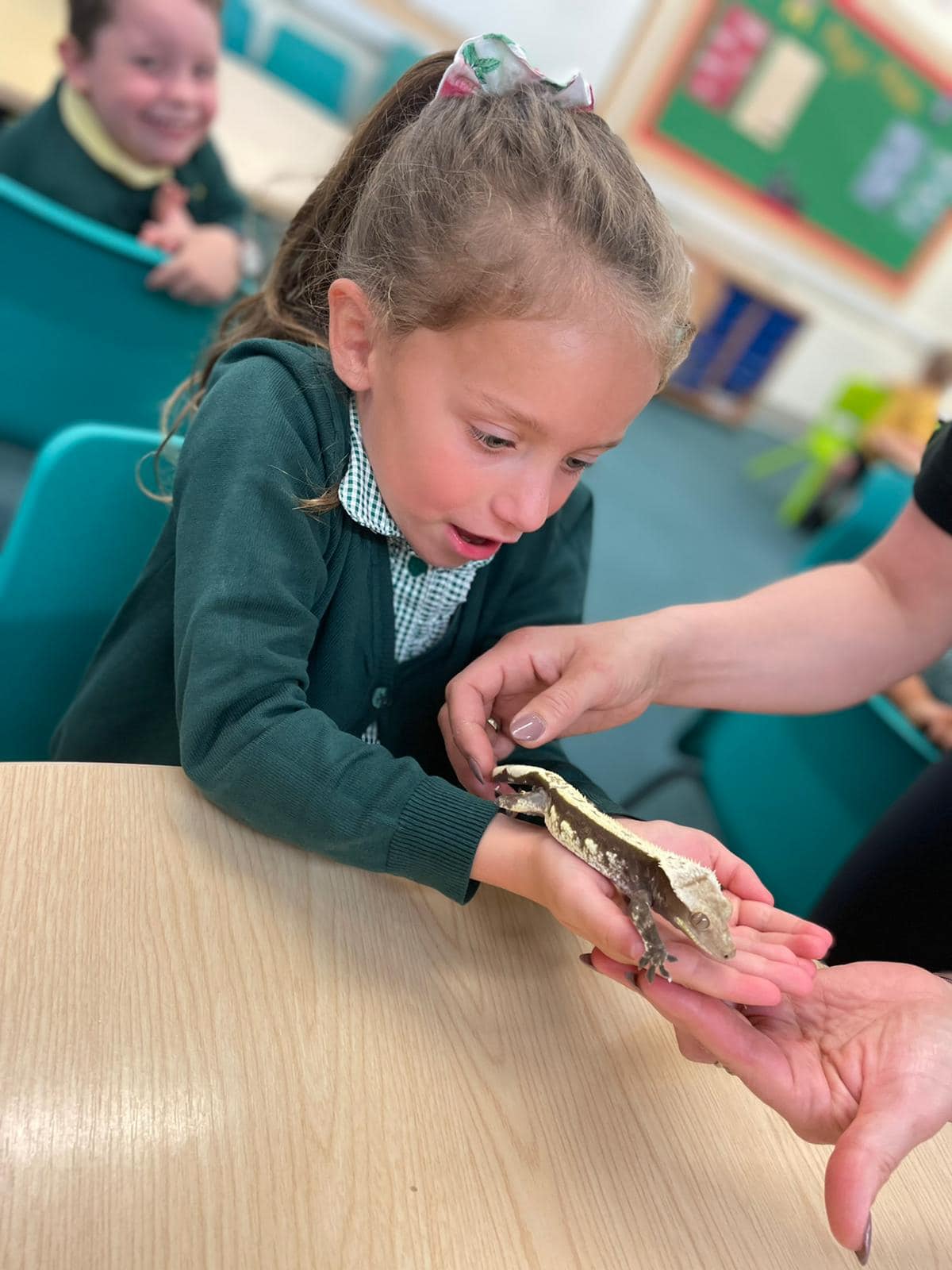 It was the turn of Mrs McCarroll’s... - Fens Primary School | Facebook