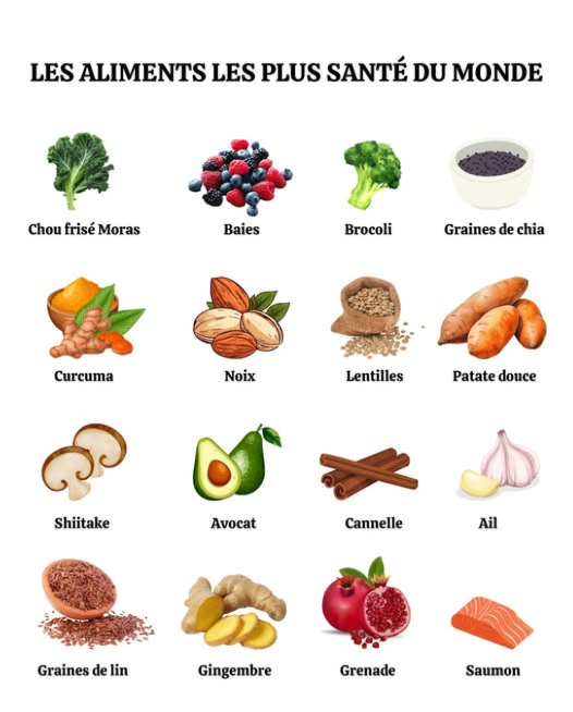 Le - 🌿 Les aliments les plus santé du monde 🌍 Une sélection d ...