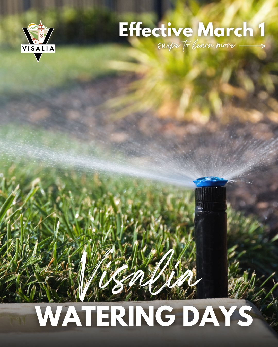 City of Visalia - 🌿💧 Spring into Water Conservation! 💧🌿... | Facebook