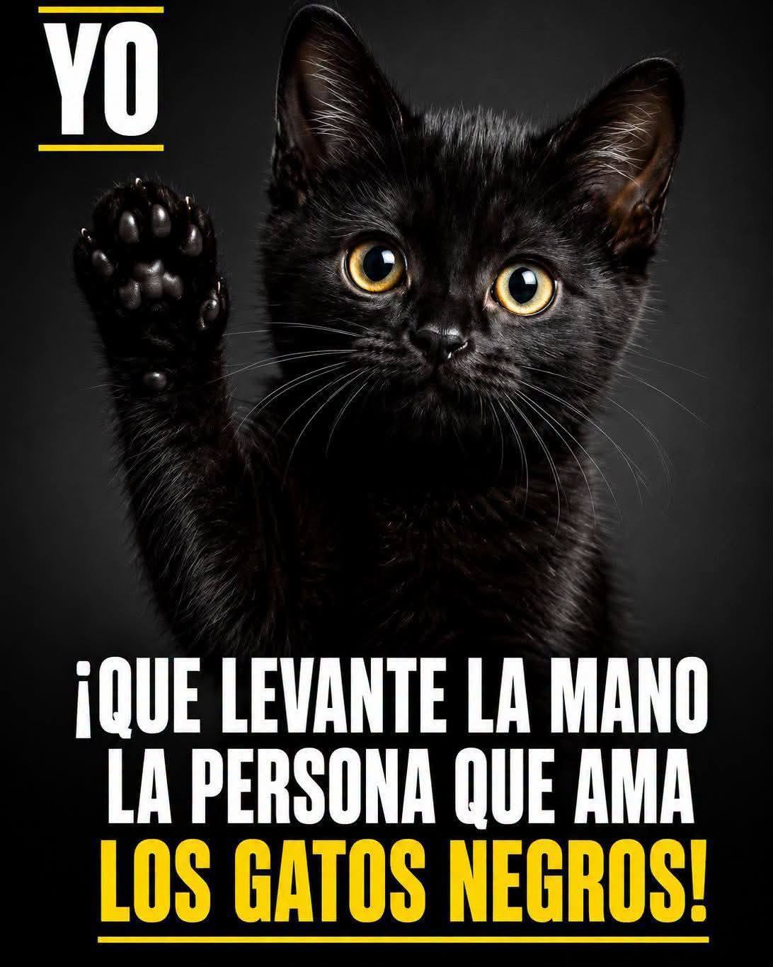 🐈‍⬛ ¡Novedad Mística! Figura Gato Guardián Gótico 💀 ¡Atención