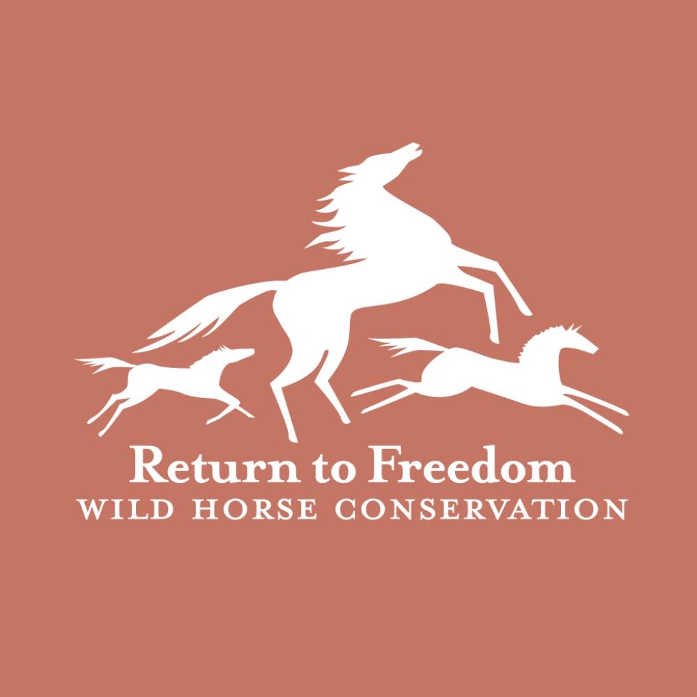 Wild horses are shown here on the Pryor Mountains Wild Horse Range in ...