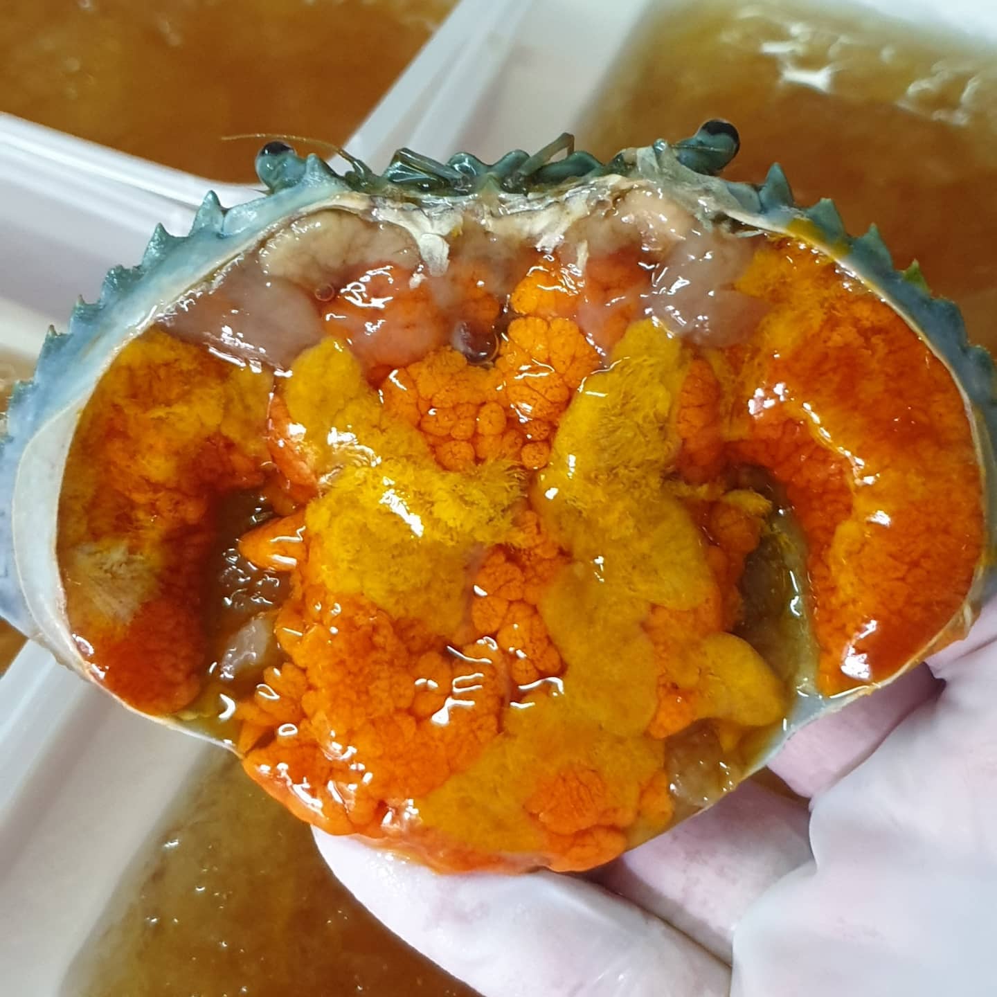 🦀🦀Triple 3 SS ปูทะเลไข่... - Piratecrab - ปูดองโจรสลัด | Facebook