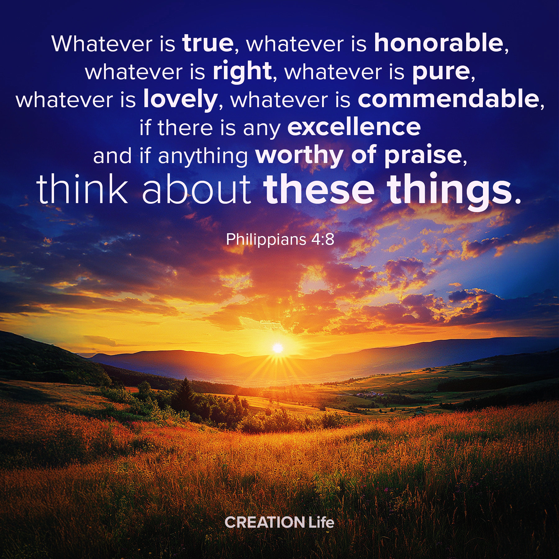 CREATION Life - The content we consume shapes our...