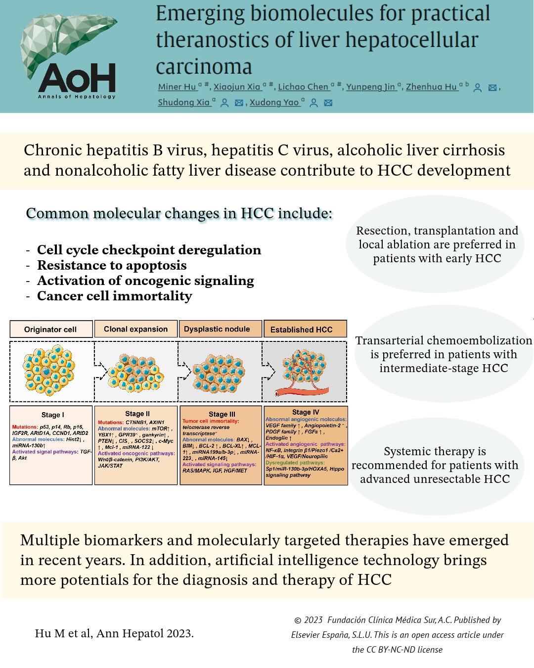 Annals of Hepatology - AoH