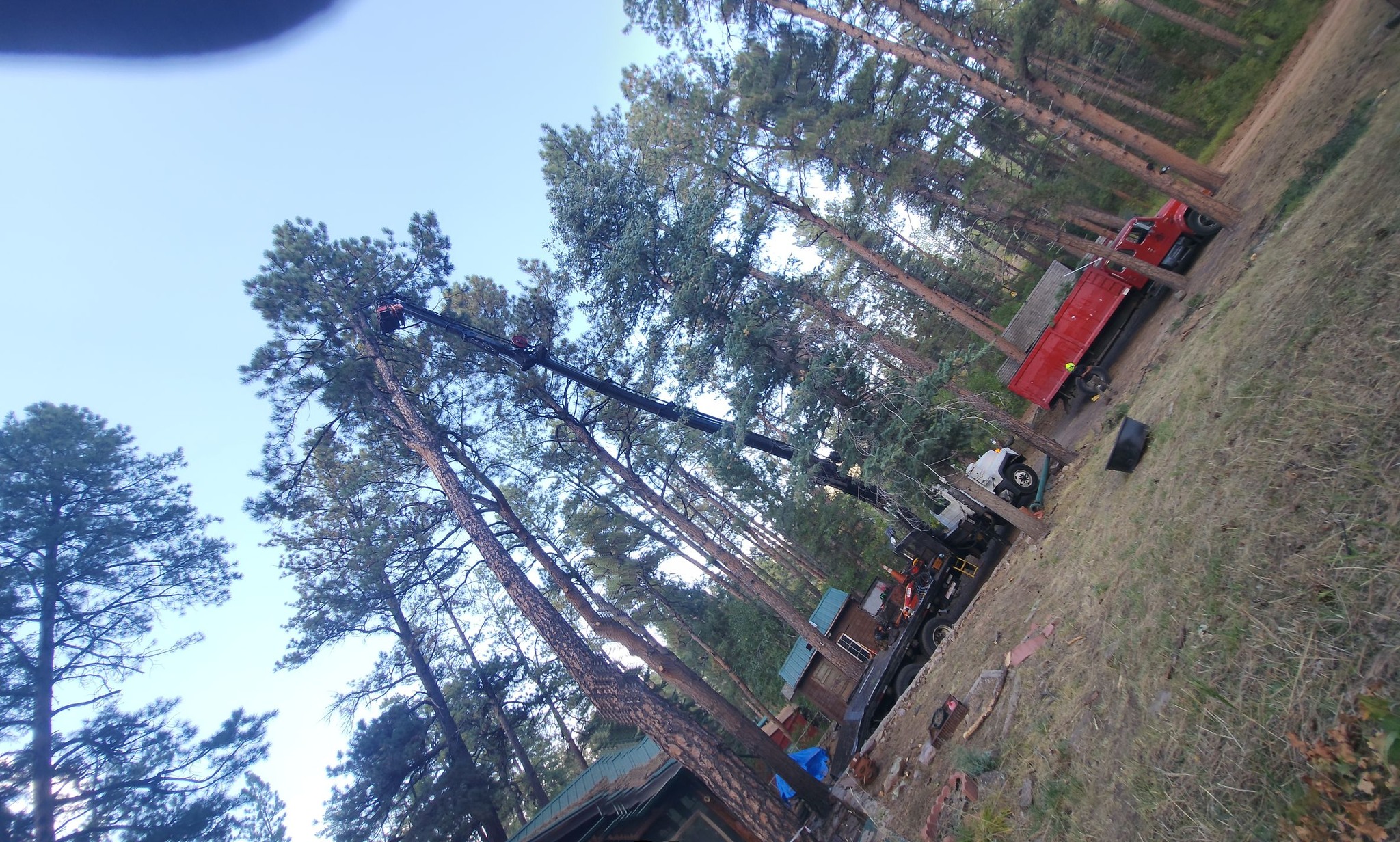 Apex Tree and Crane | Pueblo CO