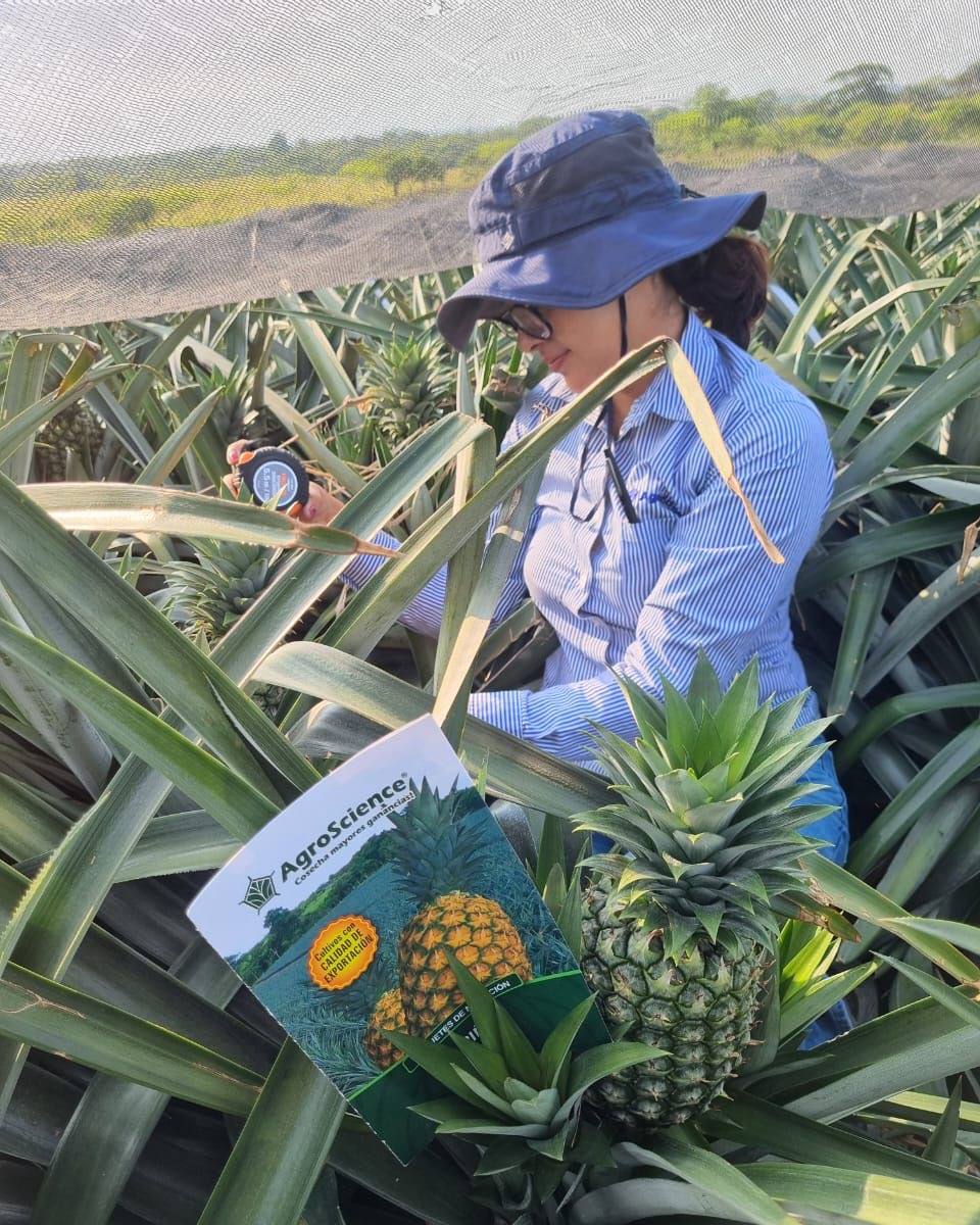 AgroScience - AgroScience added a new photo.