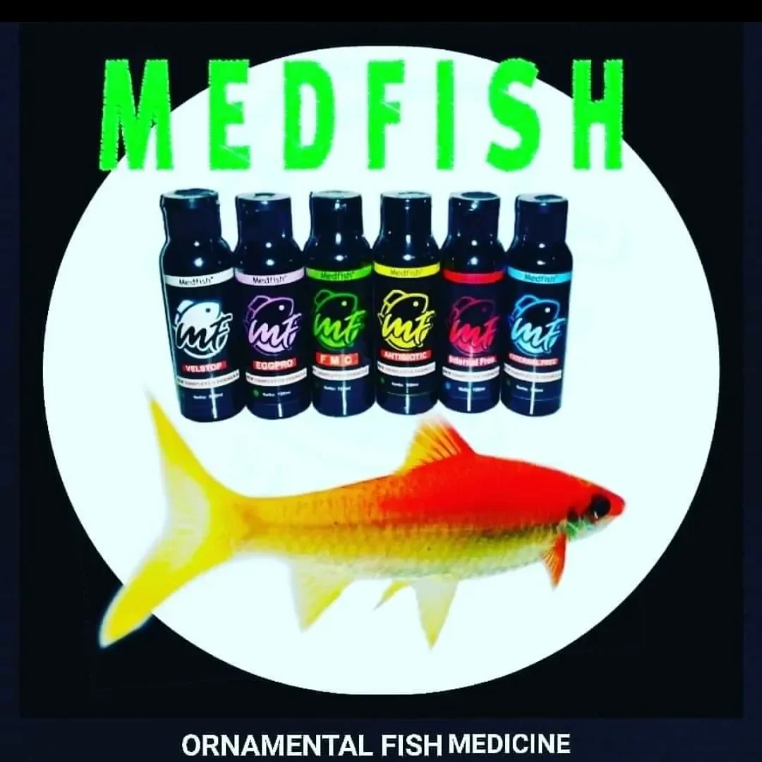 Medfish Indonesia | Bandung