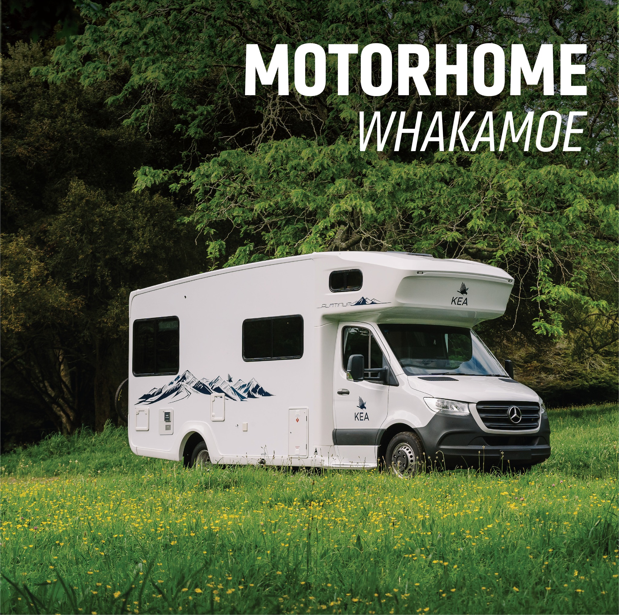 Action Motorhomes & Campervans