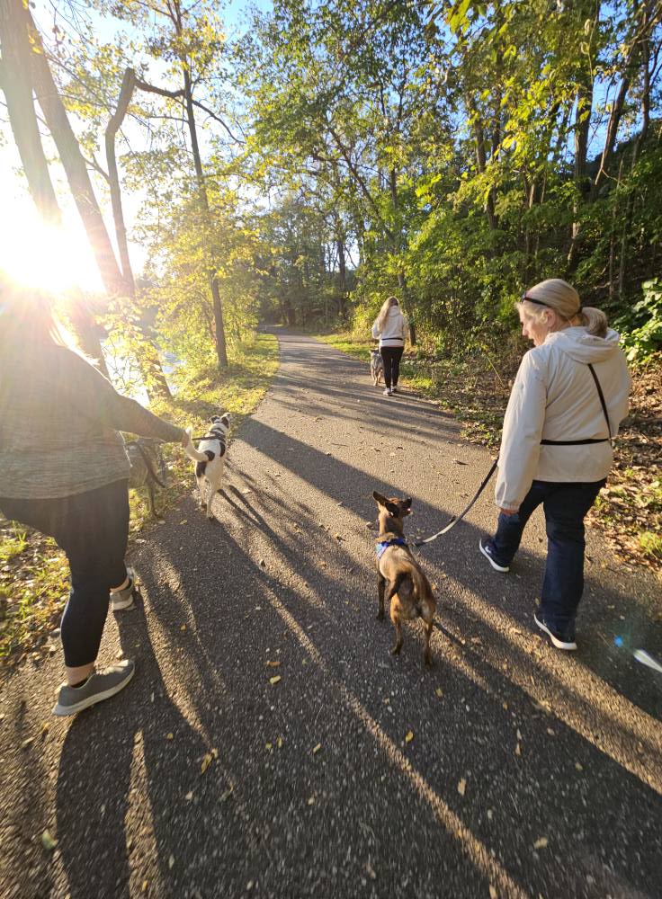Ruff Pups | Reedsburg WI