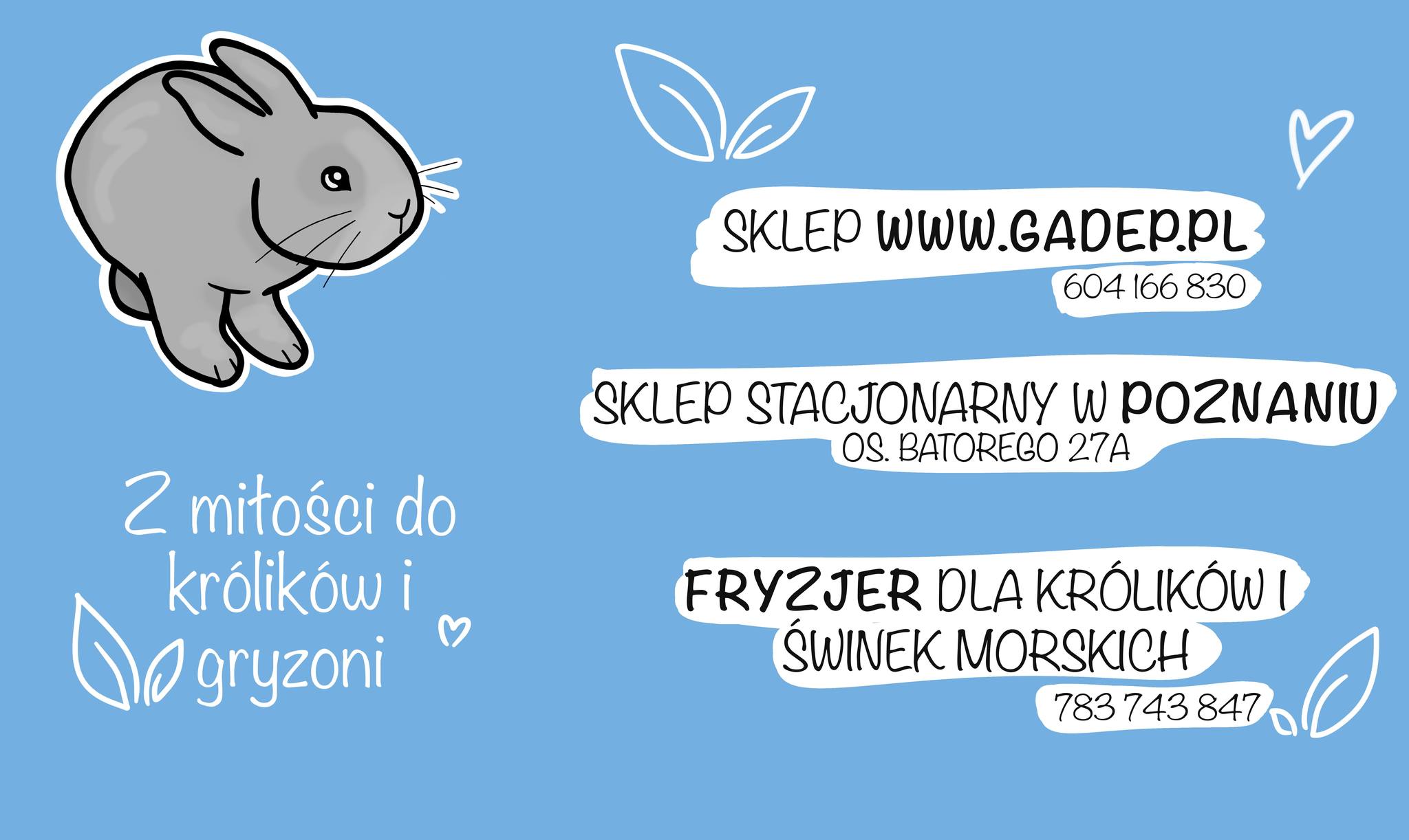okienko-ycia-dla-okienko-ycia-dla-kr-lik-w-i-gryzoni